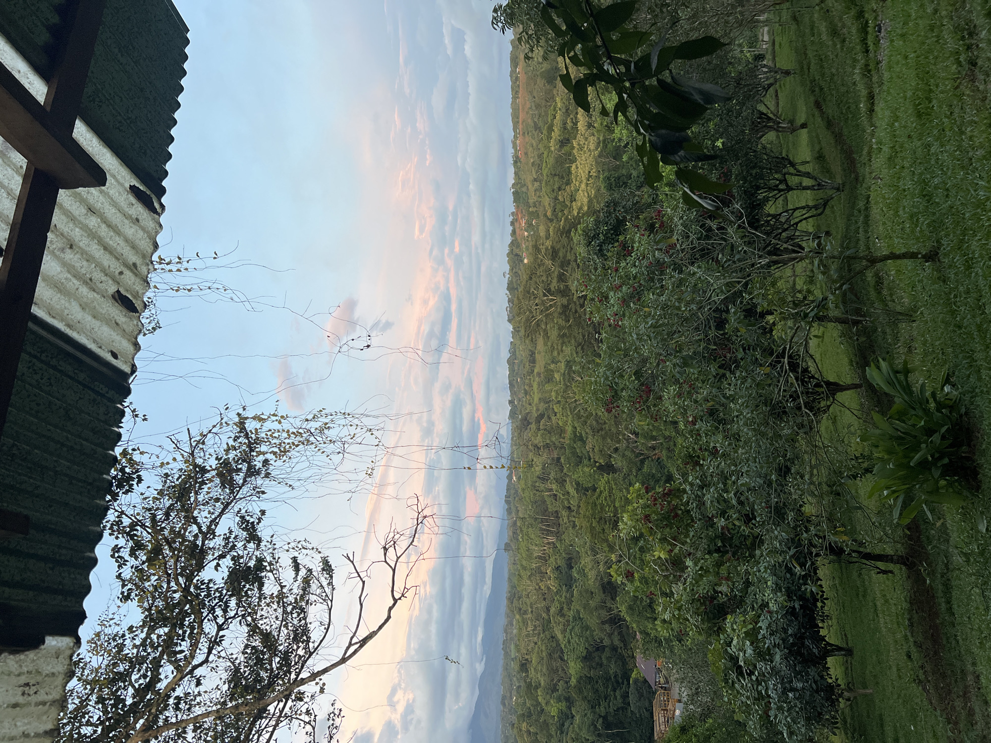 An aerial view of a lush green landscape with a forest in the distance, a vibrant blue sky with pink-tinged clouds, and a corrugated metal roof in the foreground. The landscape is dotted with various trees, some bearing red fruit. In the far distance, mountains can be seen peeking through the clouds. The image captures a serene natural environment.