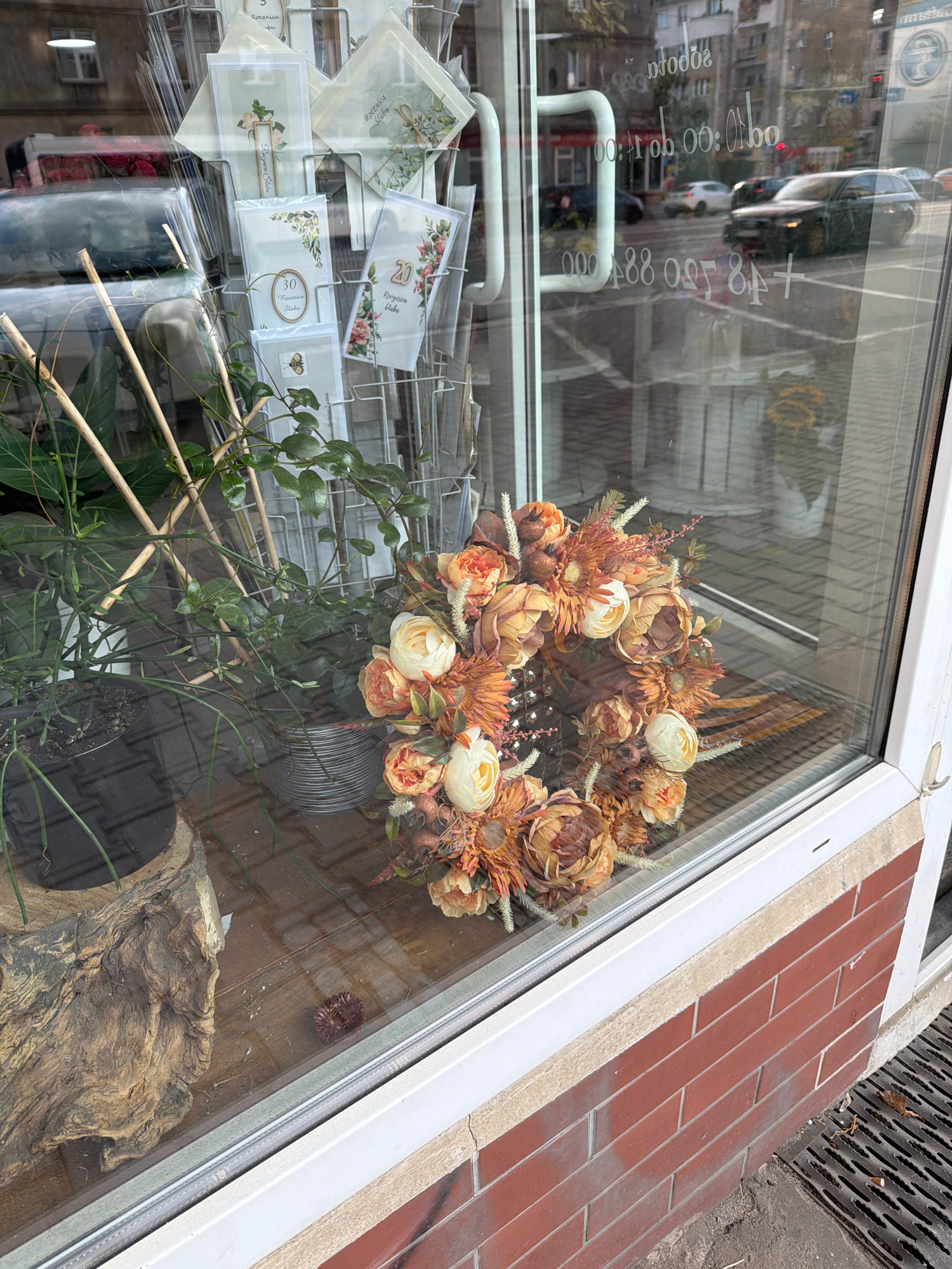 The image shows a street-level view of a storefront window in Wrocław, Poland. The window displays a variety of floral arrangements and greeting cards. In the foreground, to the left, is a large decorative piece of driftwood. To the right of the driftwood, a cascading green plant is in a grey metal pot. In front of these items is a circular wreath made of artificial flowers in shades of orange, cream, and brown. The background of the window shows a display rack filled with various greeting cards, some featuring floral designs and numbers like "20" and "30". The window reflects the street outside, showing cars and buildings. The storefront itself has a white frame and a brick base.