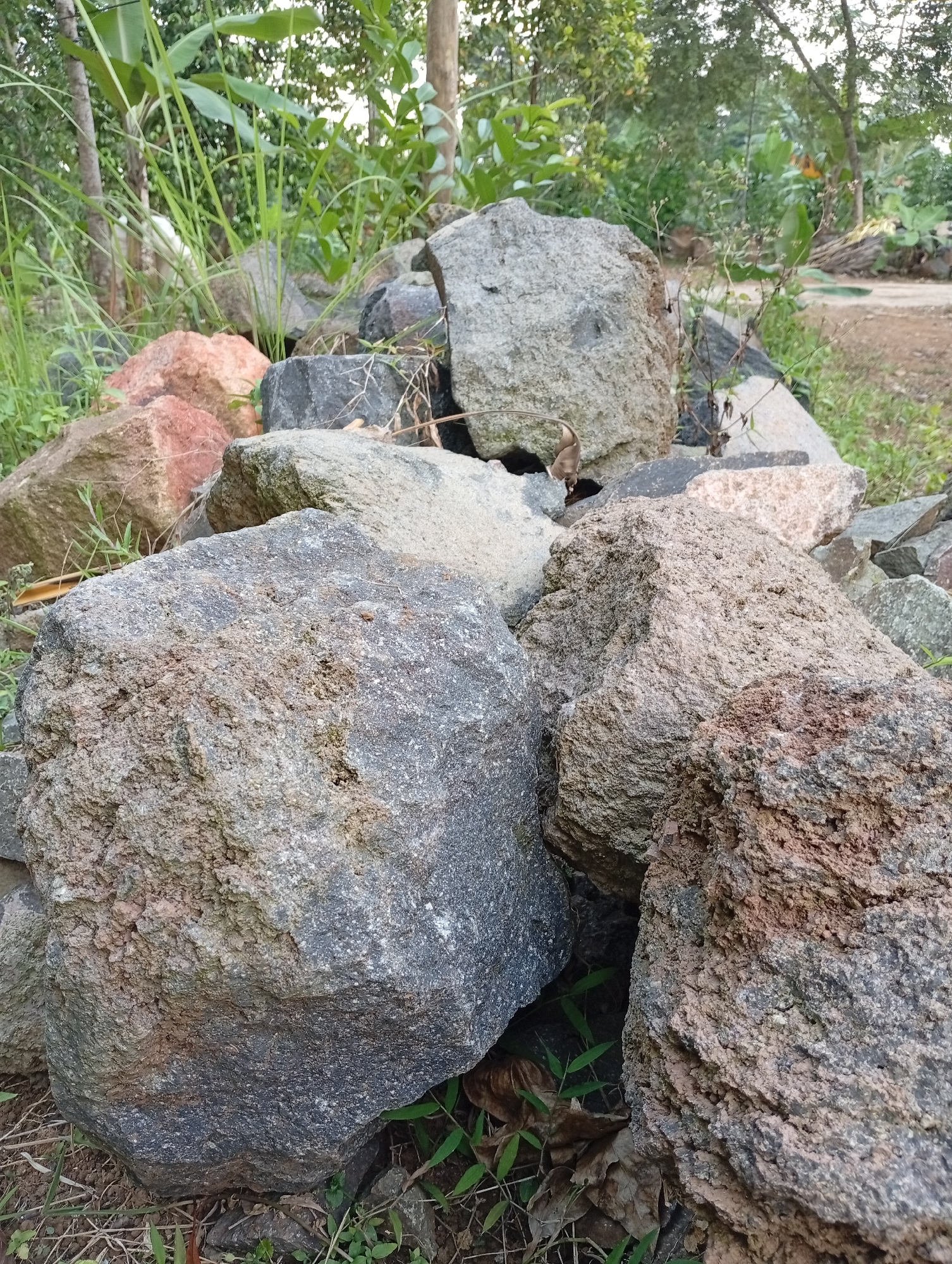 A collection of large, rough-textured rocks are piled together outdoors. The rocks vary in color, with shades of gray, brown, and reddish-pink visible. Some rocks are smoother than others, and their surfaces show signs of weathering and erosion. Green foliage, including grass and leaves, grows around and between the rocks, suggesting a natural or slightly unkempt environment. The background shows more greenery and trees, hinting at a rural or semi-rural setting. The overall impression is one of a natural accumulation of stones, possibly in a garden, yard, or undeveloped area. The specific location in Cisitu, Indonesia, implies this scene is part of the natural landscape or potentially a construction site in that region. There are no people or animals visible in the image.