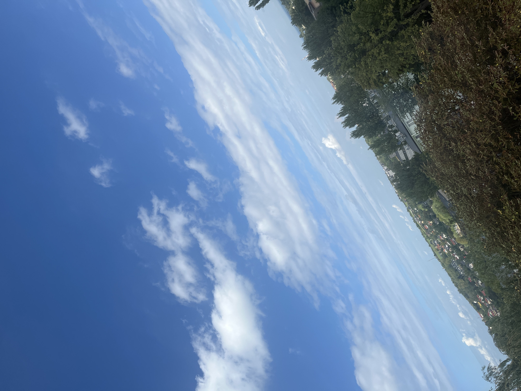 The image, captured from a slightly elevated perspective, showcases a clear blue sky dotted with scattered white clouds. The sky dominates the upper portion of the frame, with a diagonal line of clouds stretching across it. Below the sky, a lush green landscape unfolds, featuring a dense canopy of trees in the foreground and midground. Beyond the trees, a collection of buildings, appearing to be houses and other structures, are visible, nestled on a gentle slope. The buildings are varied in color and style, suggesting a residential area. The overall scene depicts a tranquil, daytime view of a town or city surrounded by nature. The image's orientation is tilted, giving it a dynamic feel.