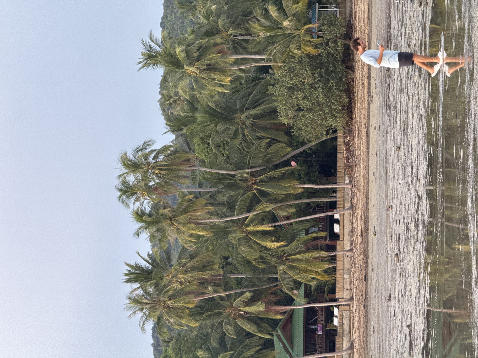 A young man with curly brown hair, wearing a light blue t-shirt and black shorts, walks on a shallow, reflective body of water at low tide. He is looking down at his phone, and wearing white earbuds. The beach is lined with numerous palm trees, some with coconuts. In the background, there are a few small buildings with green roofs, and a lush green hillside covered in more trees. The sky is a pale, overcast blue. The scene appears to be in Koh Phangan, Thailand, likely a beach during low tide.