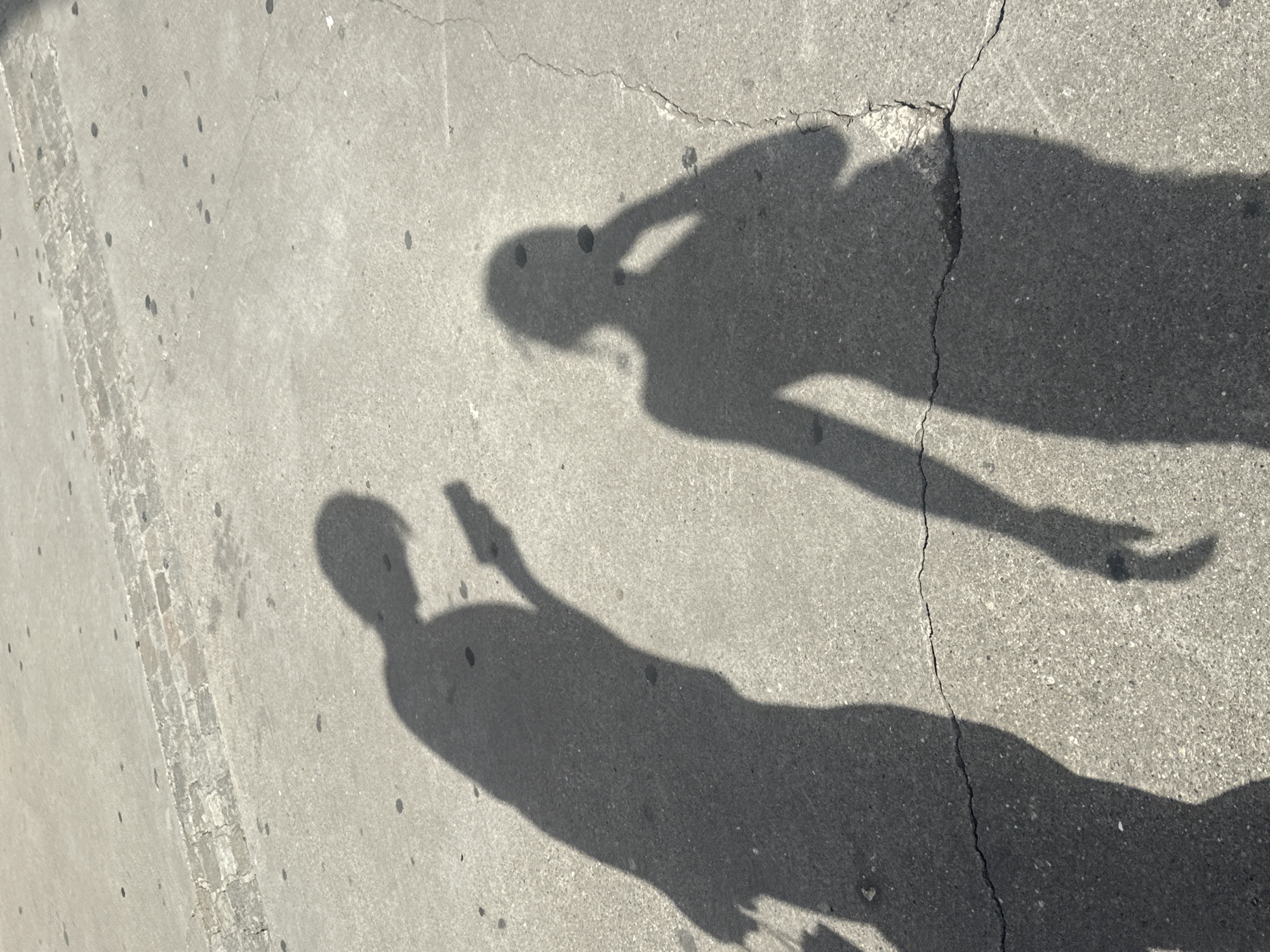 This media file shows two shadows of people cast on a cracked concrete sidewalk in Barcelona, Spain. The shadows are elongated, suggesting that the sun is relatively low in the sky, indicating either early morning or late afternoon. The concrete surface is textured with small dark pebbles and has several dark spots, possibly stains or small debris. A narrow strip of brickwork is visible on the left side of the frame, embedded in the concrete, which could be part of a street demarcation or an older paving pattern.
One shadow, in the foreground, appears to be of a person holding a phone in their hand. The other shadow, slightly further back and to the right, shows a person with their arm raised. The scene is outdoors, bathed in sunlight, casting distinct, sharp shadows. The overall impression is one of a casual moment captured on a sunny day. There is no visible text in the image.