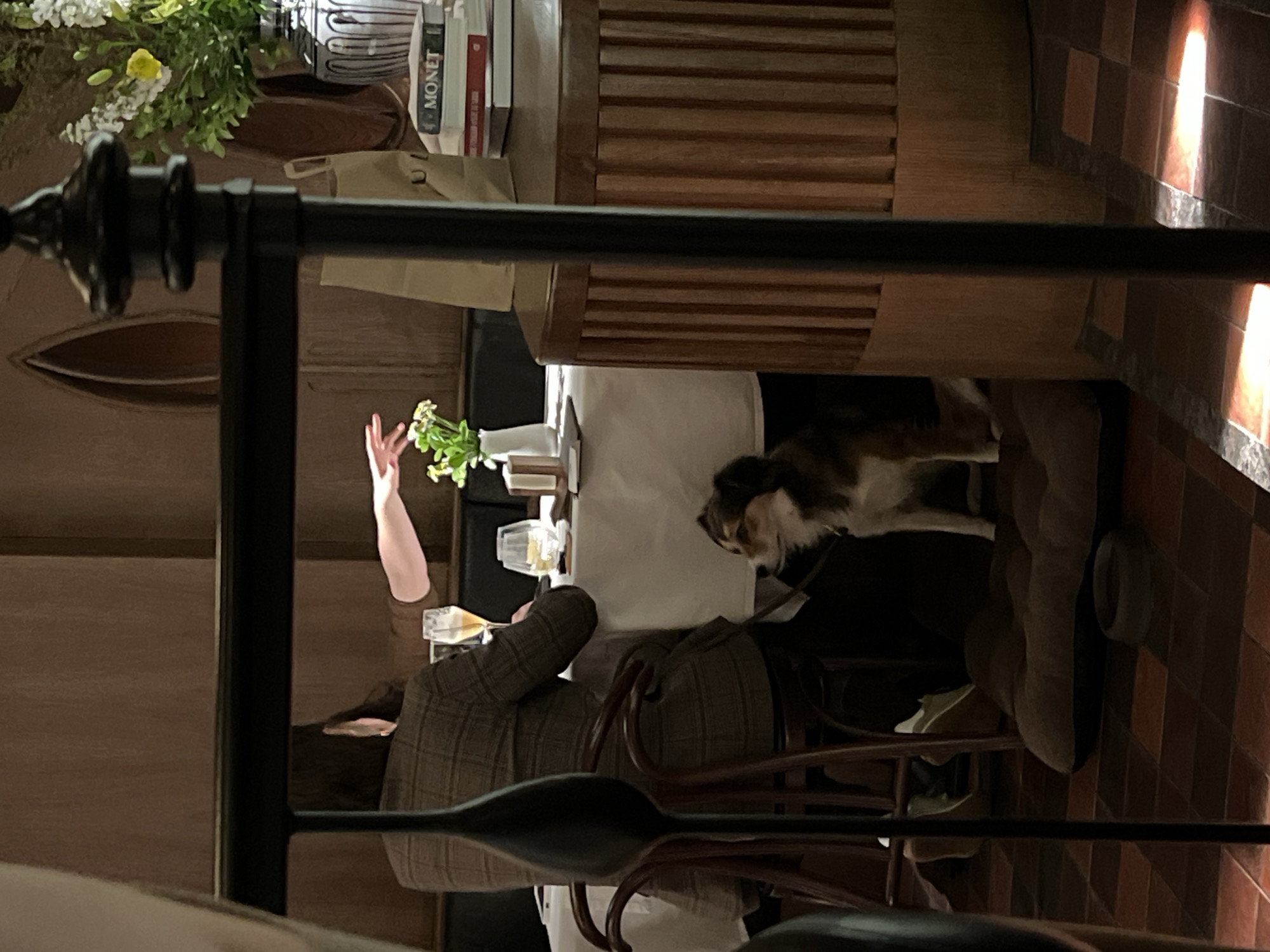 A blurry, dimly lit interior scene shows a person seated at a restaurant table, possibly hailing a waiter, with a dog near their feet. The location is potentially in Moscow, Russia. A person wearing a patterned jacket is seated at a table covered with a white cloth. On the table are glasses, a small vase with flowers, and other items. The person's arm is raised, possibly to attract attention. A dog is standing near the person, under the table. The background features wooden paneling and possibly a bookshelf with books, one of which appears to have the title "MONET." The floor is tiled in a dark reddish-brown pattern. The scene is framed by a dark, possibly metal, structure that blurs the view.