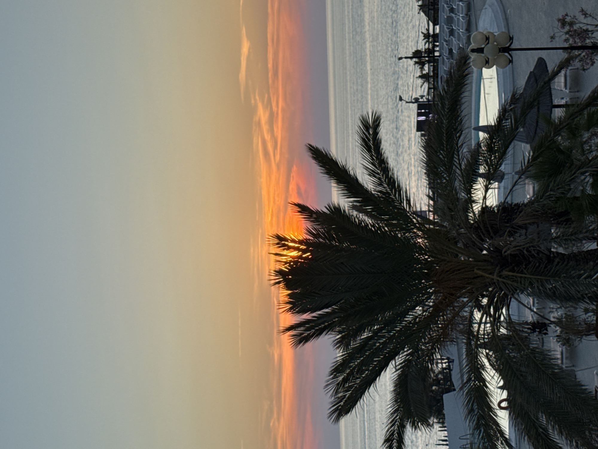 This is a vertical photograph taken at sunset, likely during the evening. The scene depicts a tropical setting with a prominent palm tree in the foreground, its fronds silhouetted against a vibrant sunset sky. The sky transitions from a soft, pale blue and yellow on the left to fiery oranges and reds on the right, with wispy clouds catching the last rays of the sun.
Beyond the palm tree, the calm sea stretches out to the horizon. In the background, to the right of the palm tree, there appears to be a resort or hotel complex with a swimming pool and outdoor lighting. The architecture suggests a Mediterranean location, consistent with Isola delle Femmine, Italy.
The overall mood is peaceful and serene, capturing the beauty of a sunset over the sea. The warm colors of the sunset evoke a sense of tranquility and natural beauty. There is no visible text in the image.
