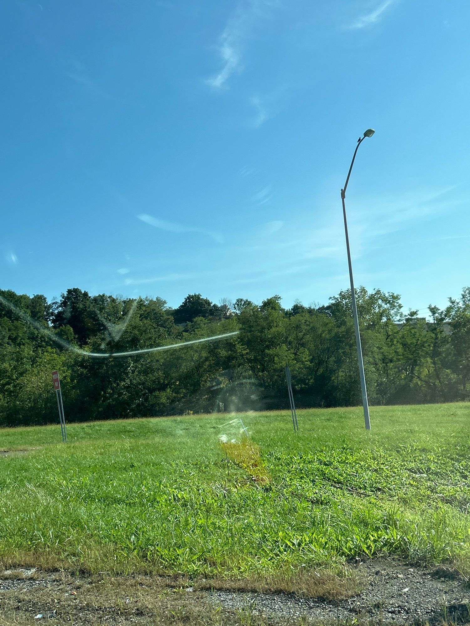 The image depicts a bright, sunny day with a clear blue sky and wispy clouds. In the foreground, a grassy field stretches out, with some patches of dry grass and gravel along the bottom edge. A tall, slender lamppost stands prominently in the middle ground on the right side of the image. In the background, a dense line of lush green trees forms a backdrop, with a glimpse of buildings or structures peeking through the foliage on the far right. A red and white sign is visible on the left side of the image, partially obscured by the trees. The scene appears to be an open area, possibly a park or a roadside verge, in Collier Township, United States of America. There are no people visible in the image, and the environment is serene and natural.