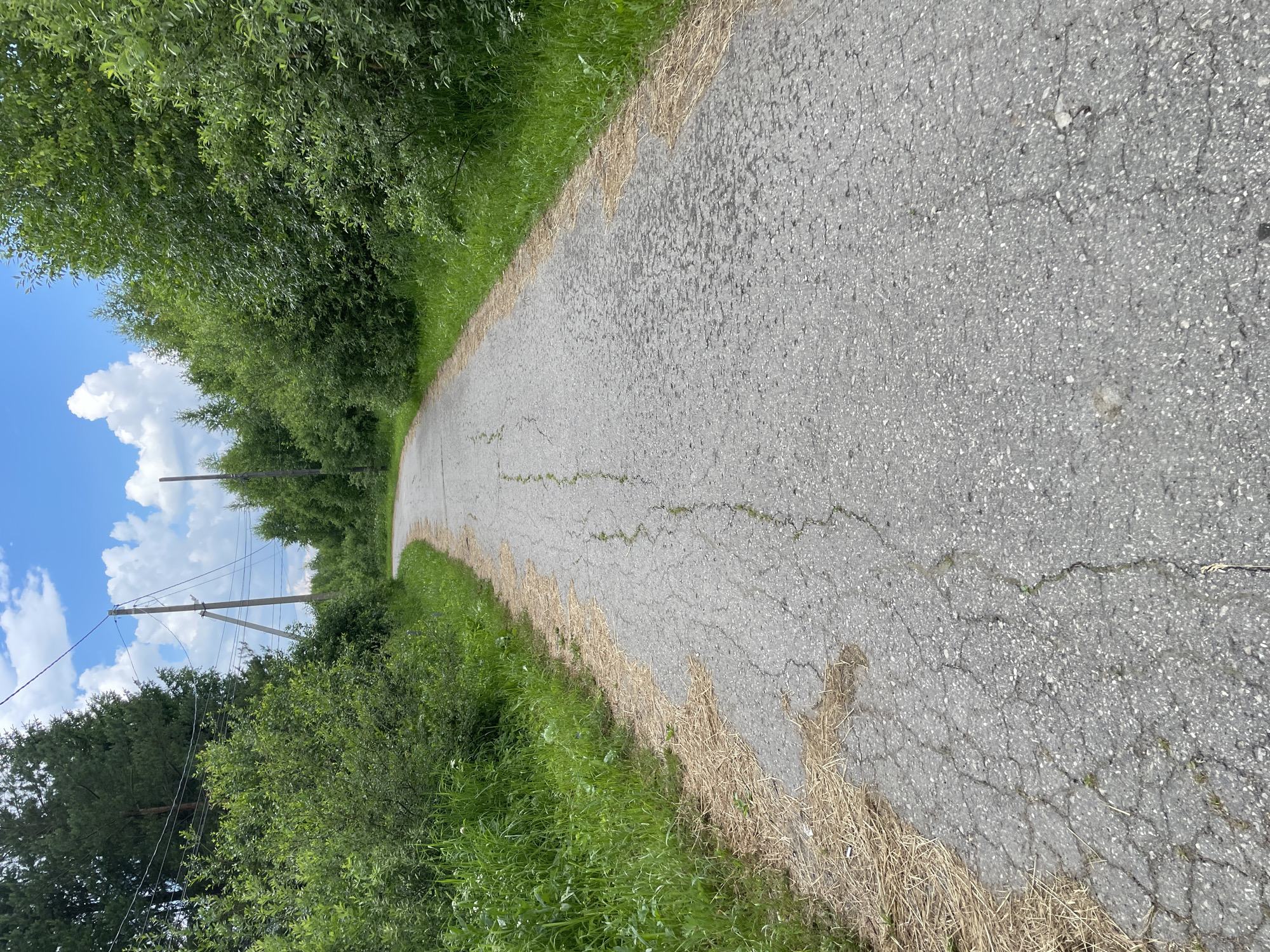 An asphalt road, marked with numerous cracks and patches, curves through a natural environment. The road is flanked by lush green grass and dense vegetation, with trees forming a canopy overhead. In the distance, wooden utility poles with power lines stretch across the frame, intersecting with the blue sky dotted with white clouds. The scene is serene and rural, suggesting a location within the outskirts of a settlement or a more remote area.