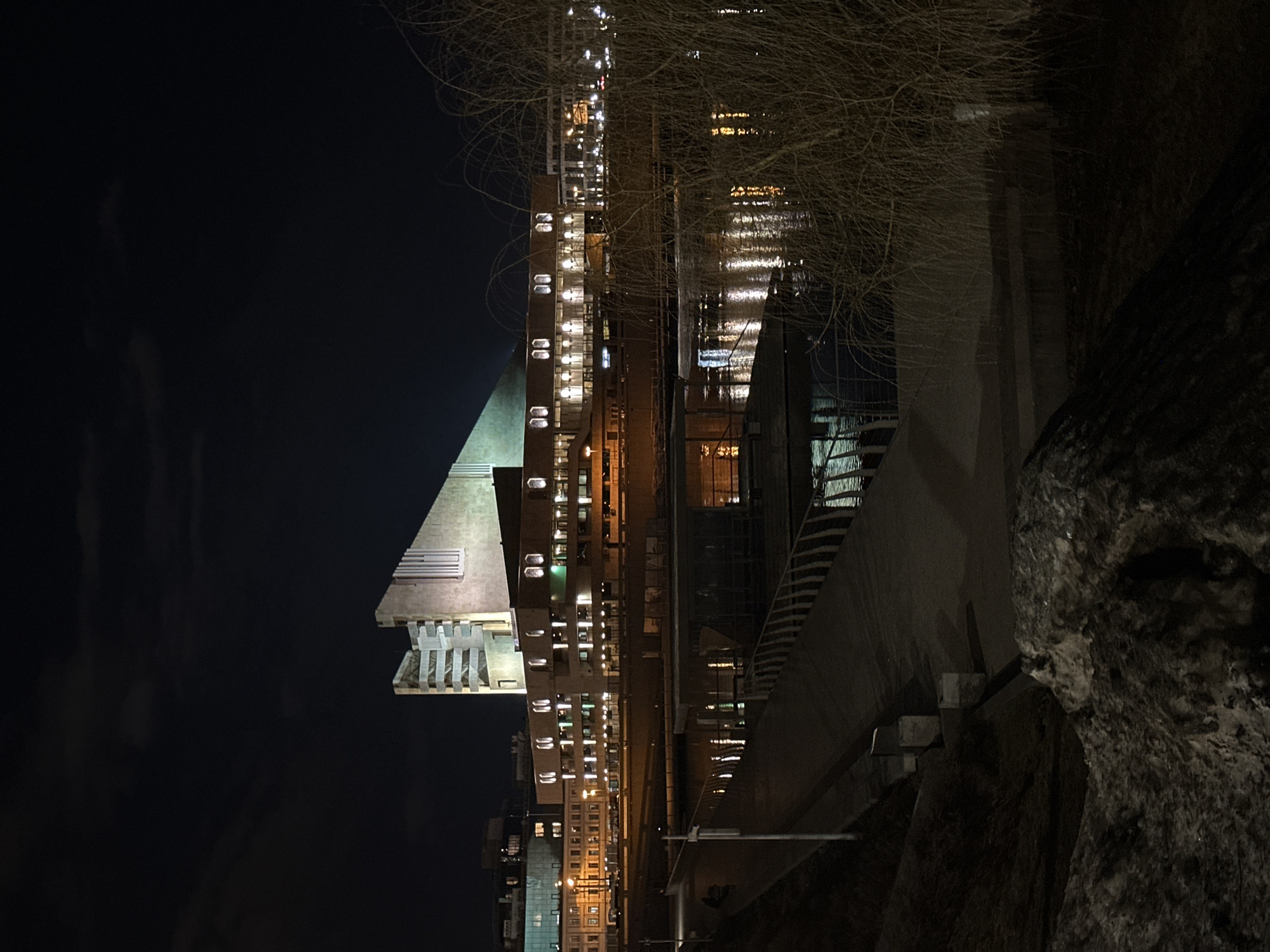 At night in Kazan, Russia, a view presents buildings illuminated with numerous lights. To the right, tree branches and dark, rocky terrain contrast with the distant cityscape. The building architecture features distinctive designs and varying heights. Reflections of light create patterns on nearby surfaces. The sky is dark, and clouds might be subtly visible.