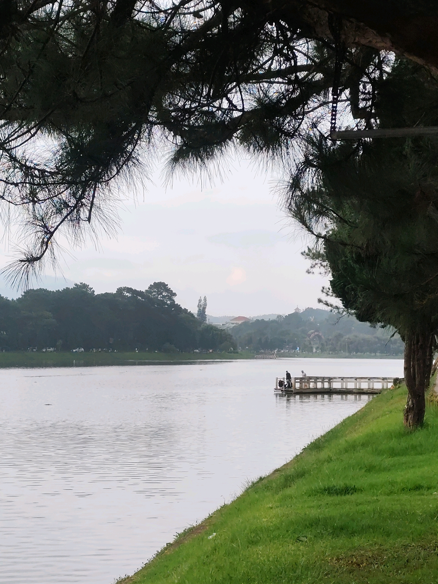 This is an outdoor, medium-distance shot of a lake with a pier. On the pier, there are four people: two standing, one sitting, and one crouched down. The lake is calm with ripples. The foreground consists of a grassy slope. In the background, there is a dense line of trees, and beyond that, a hazy cityscape with hills. The sky is overcast. The scene appears to be Xuan Huong Lake in Da Lat, Vietnam, given the characteristic pine trees and the overall landscape.