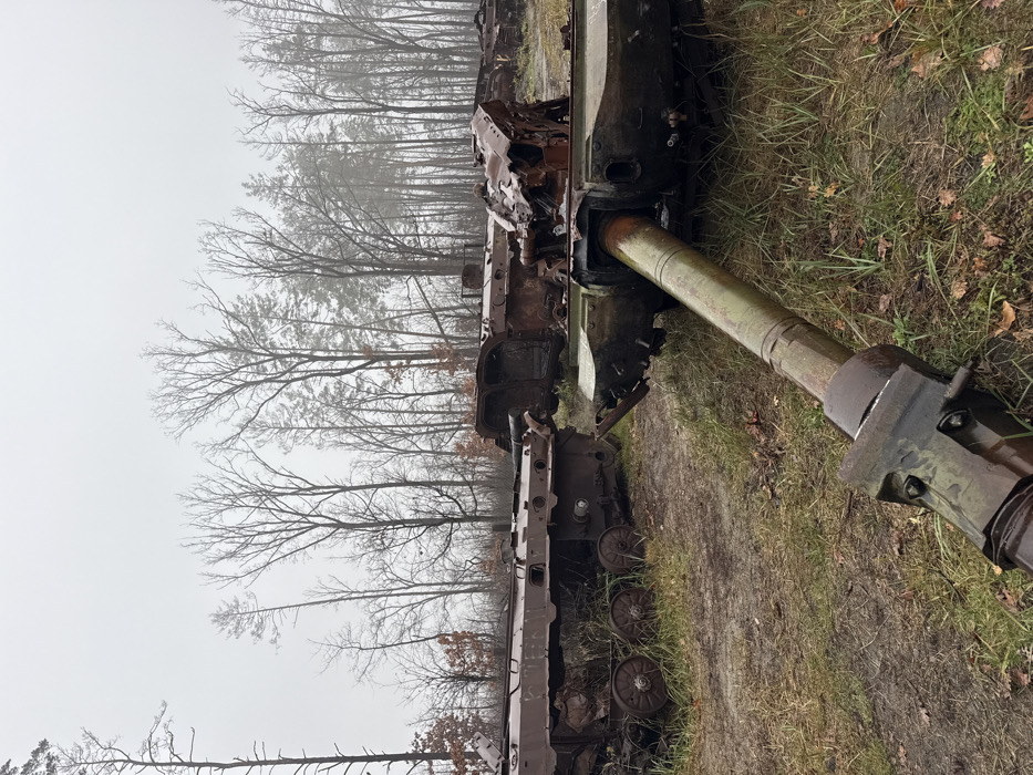 This image depicts a wreckage site in Dmytrivka, Ukraine, within a wooded area under an overcast, misty sky. In the immediate foreground, the heavily rusted and detached main gun barrel of a military vehicle extends diagonally from the lower left towards the lower right. Behind it, and scattered across the middle ground, are the extensively damaged, burnt, and rusted hulks of multiple armored vehicles, consistent with tanks or infantry fighting vehicles. These vehicles exhibit severe structural deformation, including twisted metal, missing turrets or superstructures, and visible interior damage indicative of explosive impact. Components such as track sections and road wheels are discernible on the chassis. The ground is composed of damp earth, sparse green and brown grass, and scattered fallen leaves. The background features a dense mix of tall, bare deciduous trees and coniferous trees, partially obscured by the atmospheric mist. No individuals or active elements are present in the scene.