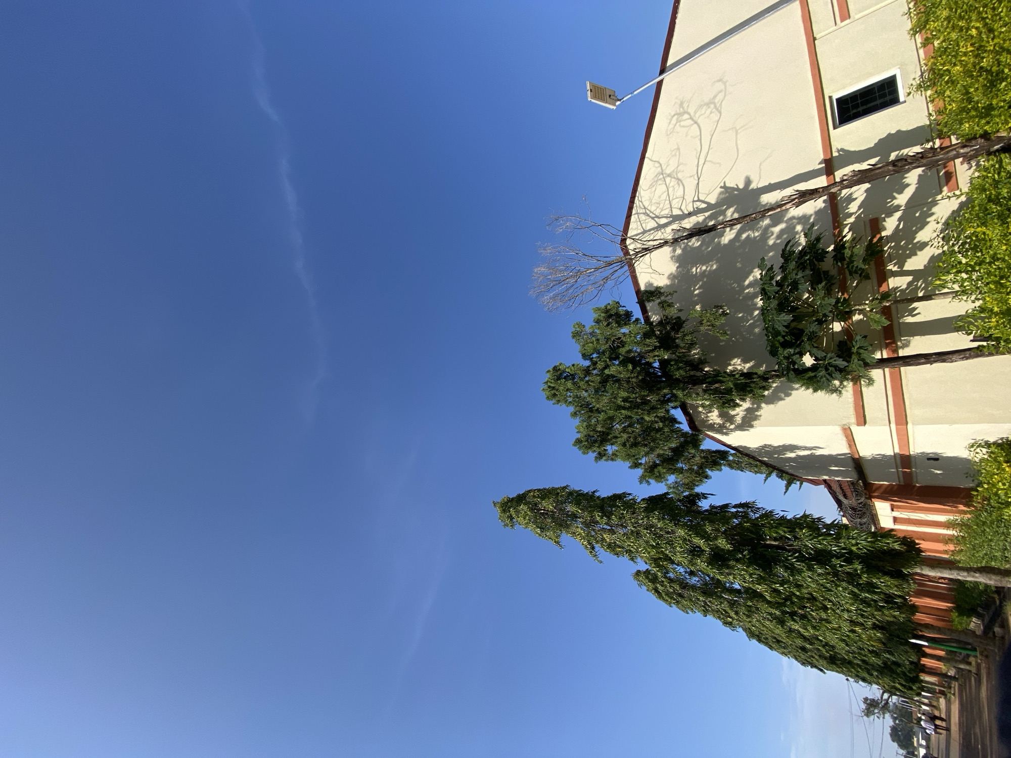 The image captures a scene in Gura Top, Nigeria, under a clear blue sky. On the right side of the frame, a two-story building with a cream-colored facade and an orange trim is visible. A long, sleek street lamp is mounted on a pole extending upwards from the ground to the right of the building. A narrow, dark-paned window is set into the building's wall. To the left of the building, a cluster of trees grows, casting distinct shadows on the building's facade. One of these trees appears to be a leafless, skeletal branch.
Along the left side of the image, a row of tall, slender evergreen trees with dense foliage stands in a line. These trees are spaced out and appear to be part of a landscaping arrangement. In the foreground, a dirt path runs along the base of these trees, with some low-lying green shrubs bordering the path. Further to the left and in the distance, a few individuals in white clothing are walking on the path. A barbed-wire fence runs along the top of a lower wall between the row of trees and the building. The overall impression is a well-maintained outdoor area adjacent to a building.