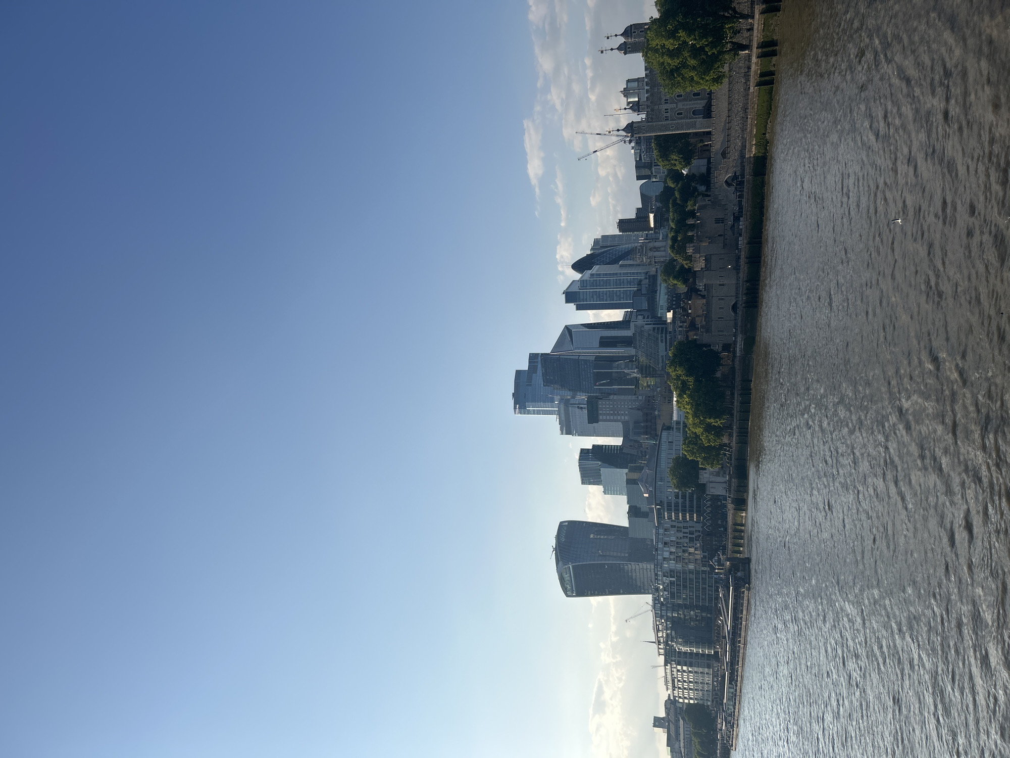 This is a photograph of the River Thames in London, United Kingdom, with the City of London skyline in the background. The image is captured from a slightly elevated perspective, looking across the water towards the north bank.
The foreground is dominated by the dark, rippling waters of the River Thames, which fills the lower portion of the frame. The water is a murky brown color, reflecting the overcast sky and surrounding structures. A single white bird is visible in flight over the water, towards the center of the frame.
The middle ground features a line of buildings along the riverbank. To the left, there are modern apartment blocks or office buildings with multiple windows. Further to the right, the historic Tower of London complex is prominent. It consists of grey stone walls and several circular turrets topped with conical roofs. Green trees are interspersed between the buildings and surrounding the Tower of London, providing a contrast to the urban landscape.
The background showcases the modern skyline of the City of London. A cluster of tall glass and steel skyscrapers dominates the horizon. Notable structures include the distinctive curved building known as the "Gherkin" (30 St Mary Axe) and other contemporary high-rises with varied architectural designs. Cranes for ongoing construction are visible amongst the buildings.
The sky above is a clear, bright blue, with a few wispy white clouds scattered towards the horizon. The lighting suggests it is either early morning or late afternoon, with the sun illuminating the city from the side. The overall scene depicts a juxtaposition of historical and modern architecture in London, bisected by the iconic River Thames. There are no discernible people in the image.