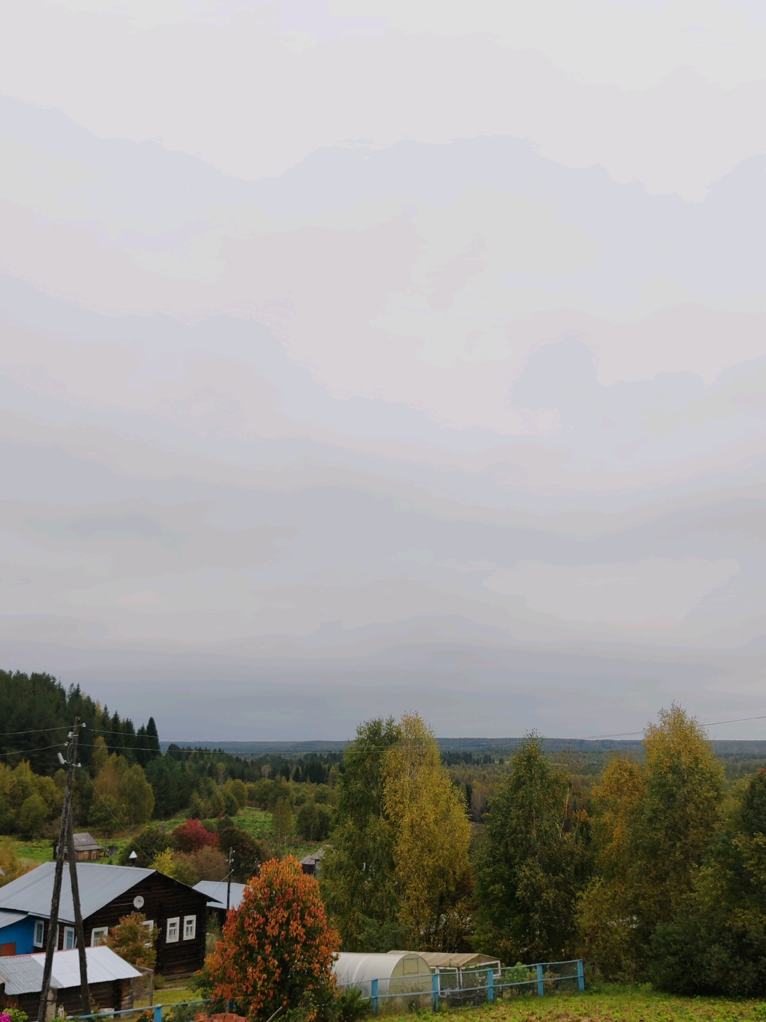 This is a medium-distance, eye-level, exterior shot of a rural landscape in Chukhlem, Russia, under an overcast sky. In the foreground, to the left, are elements of a residential compound with a blue and white house, a dark wood house with a metal roof, and a smaller wooden outbuilding. A power pole with wires is situated to the left of the houses. A bright orange tree is in the middle ground, to the right of the dark wood house, with a greenhouse structure and a blue fence visible further to the right. The background is filled with a dense forest of deciduous and coniferous trees showing autumn foliage in various shades of green, yellow, and orange, receding into the distance under a muted, hazy horizon. The overall atmosphere is somber and quiet, typical of an autumn day in a rural setting.