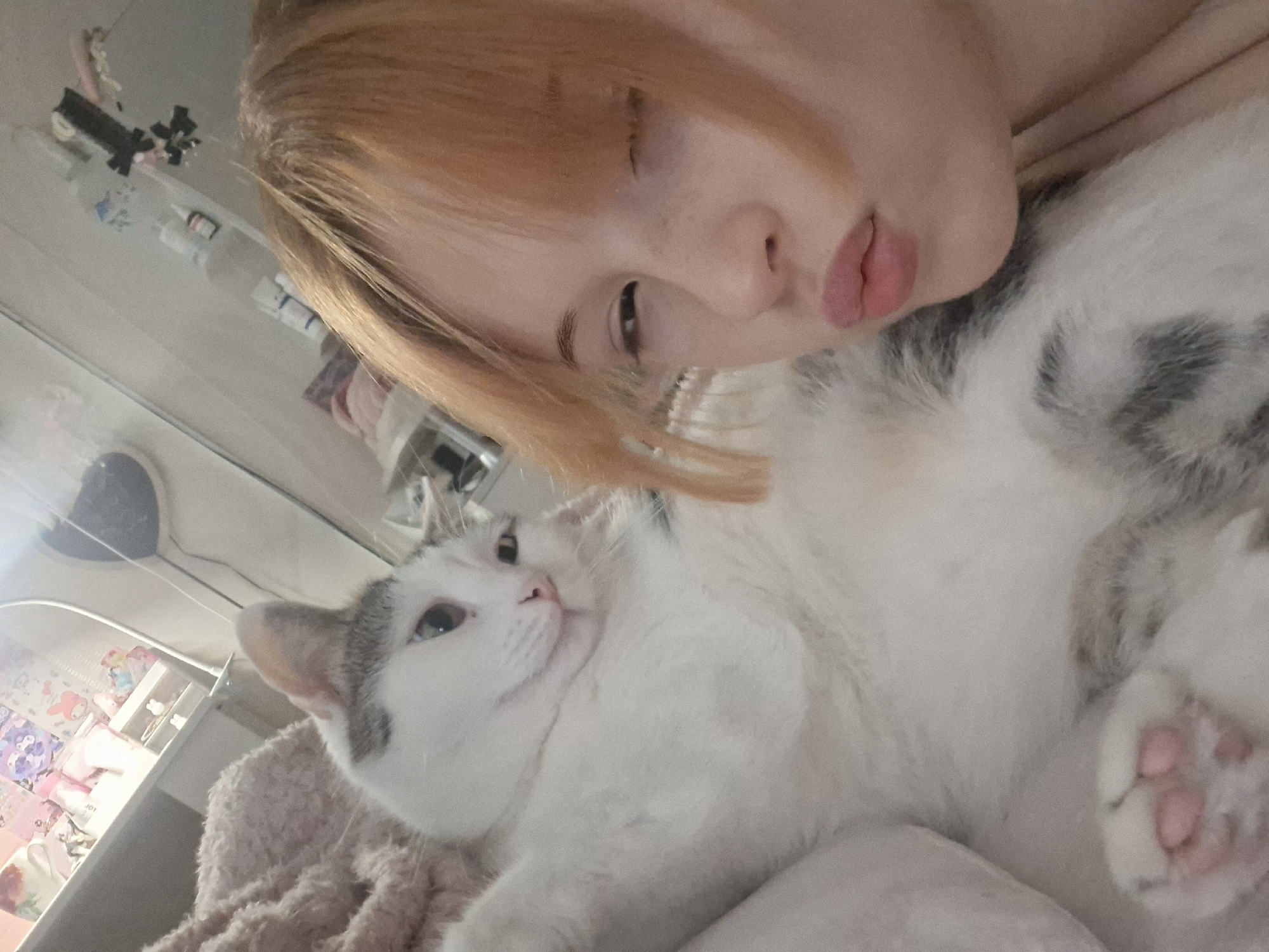 The image presents a close-up, high-angle selfie of a person and a cat resting indoors. The person, with light orange hair and fair skin, is visible on the right side of the frame. Their right eye is partially closed, and their lips are pursed in a "duck face," conveying a playful or affectionate expression.
Cuddled beside the person is a white cat with striking gray and brown patches on its head and back. The cat possesses serene light blue or green eyes and is looking upward and to the left with a soft, relaxed gaze. One of its white front paws, revealing pink paw pads, is visible in the lower right corner. Both the person and the cat are resting on a light-colored, possibly fluffy blanket or bedding, suggesting a comfortable domestic setting.
The background, visible above the person's head, shows an indoor environment, likely a bedroom or personal space. A shelf or surface is sparsely populated with various small items, including what appear to be hair clips (one black, one pink) and a few small bottles or containers. A white light fixture or lamp is partially visible in the upper left background. The lighting is soft and consistent with an indoor setting. The scene evokes a sense of calm and companionship between the individual and their pet. No explicit text is clearly visible in the image. The location context provided is Chaikovsky, Russia.