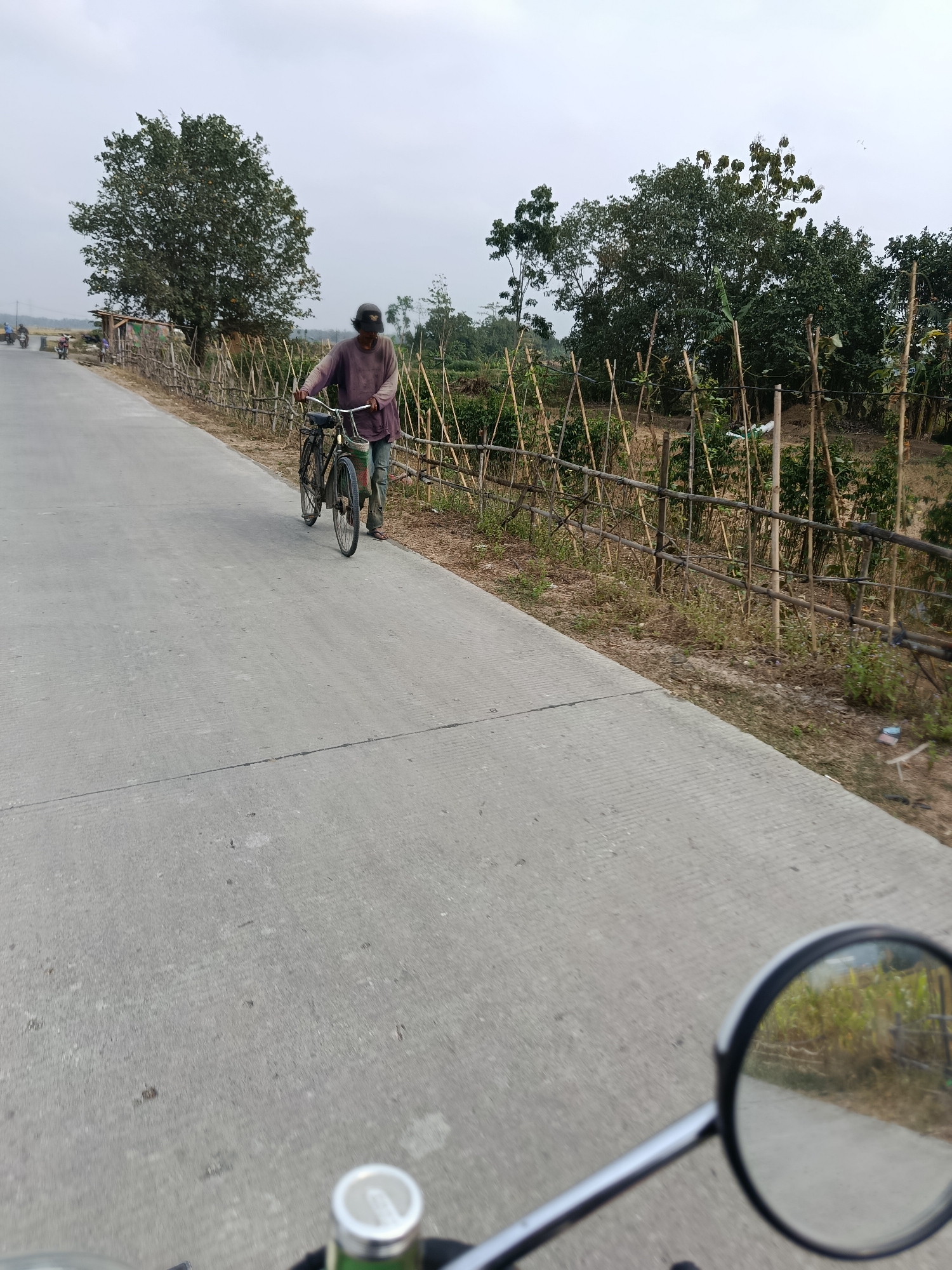 A man wearing a dark purple long-sleeved shirt and light blue pants, with a dark cap, is walking on a paved road, pushing a black bicycle. The bicycle has a basket on the front and a water bottle attached to the frame. He is walking away from the camera, towards the left of the image. The road is bordered on the right by a rustic bamboo fence, behind which are fields with various plants and trees. In the background, a large tree stands near a small building with a brown roof. Several motorcycles are visible on the road in the distance to the left. The sky is overcast and the overall lighting suggests it is daytime, likely morning or late afternoon given the soft light. The scene appears to be in a rural or semi-rural area, consistent with the city of Binangun, Indonesia, known for its agricultural landscape and local transportation methods.