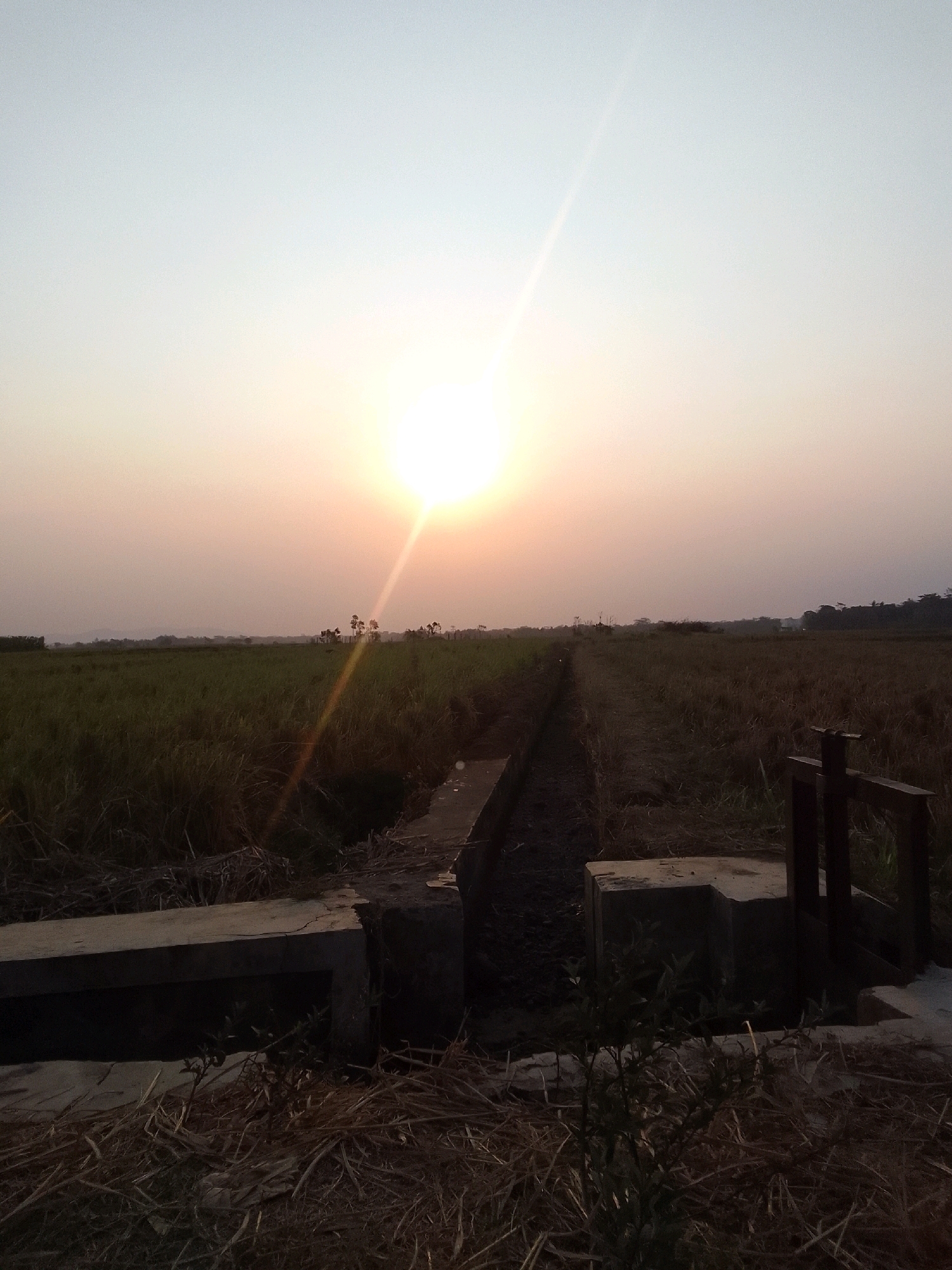 The image captures a serene sunset scene in the rural outskirts of Dermasari, Indonesia. The sun, a bright orb with visible rays, is low on the horizon, casting a warm, golden glow across the sky. The foreground features a water channel or irrigation ditch, bordered by concrete structures, suggesting agricultural land. Beyond the ditch, fields stretch out, appearing to be either rice paddies or dry grasslands. In the distance, a line of trees marks the edge of the landscape, with hazy hills visible even further away. The overall impression is one of tranquility and natural beauty, with the setting sun creating a dramatic backdrop. There are no people or animals visible in the frame.