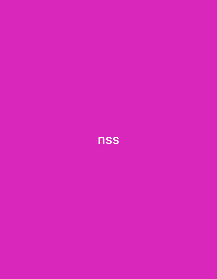 The image displays a solid, vibrant magenta color field. Centrally positioned on this background are three white, lowercase, sans-serif letters: "nss". There are no other visible subjects, objects, people, or discernible environmental details. The composition is a flat graphic without depth or perspective, and therefore no specific physical location within the city of Unknown, Unknown is depicted.