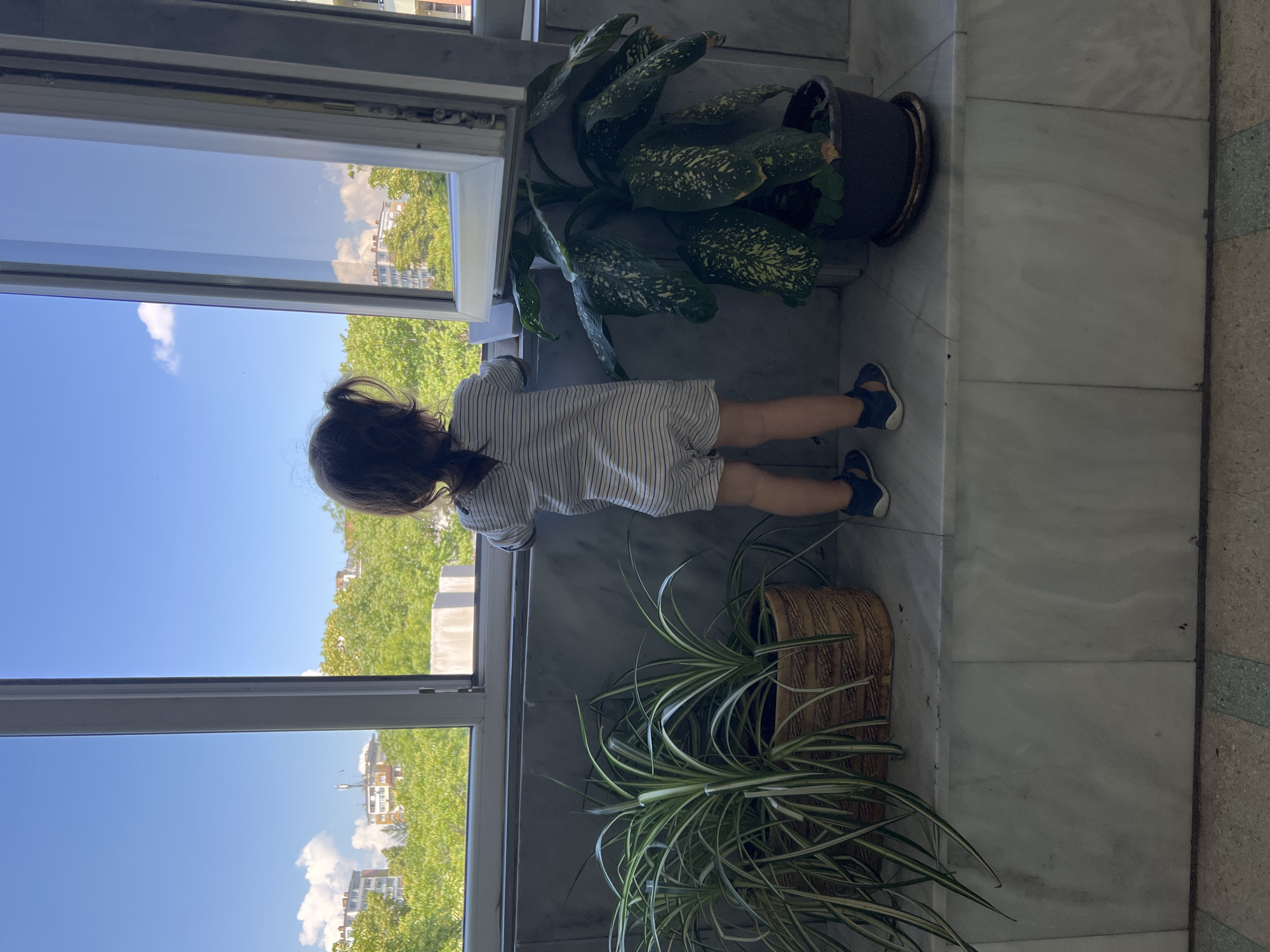 A young child stands facing away from the camera, looking out of a window onto a cityscape. The child, wearing a striped romper and dark sandals, has dark hair pulled into a ponytail. The window frames a bright blue sky with scattered white clouds, lush green trees, and buildings. In the foreground, on a marble ledge, are two potted plants: one with long, spiky green leaves in a textured basket, and another with large, variegated dark green leaves in a dark pot. The marble ledge and surrounding wall suggest an interior space, likely a balcony or a room with a large window. The architectural style of the buildings visible outside hints at a location in Sofia, Bulgaria. The overall scene is one of quiet observation, with the child engrossed in the view.