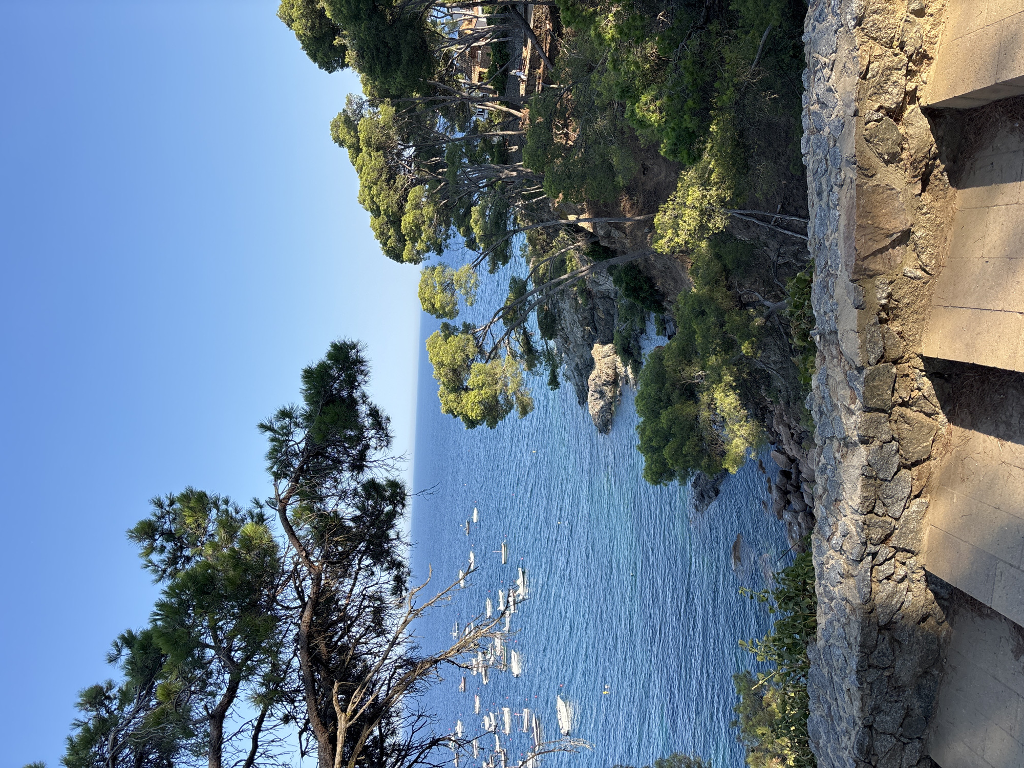 The image depicts a scenic coastal view from a high vantage point. The foreground is dominated by lush green trees, specifically pine trees with their characteristic needles, framing the scene. To the right, a stone wall borders a paved path, suggesting a man-made walkway or viewpoint.
Beyond the trees and wall, a vast expanse of tranquil, blue water stretches out, dotted with numerous small sailboats. These boats are white and appear to be anchored or sailing slowly, creating a peaceful, almost serene atmosphere. The water is calm, with gentle ripples visible on its surface. Rocky outcrops rise from the water in the distance, adding to the rugged beauty of the coastline.
The sky above is a clear, vibrant blue, indicating a sunny day with good weather. The lighting suggests it is either early morning or late afternoon, as evidenced by the warm, directional shadows cast on the path and stone wall. The overall impression is one of natural beauty and tranquility, a popular spot for recreation or sightseeing. The location cues, such as the type of trees and the presence of sailboats in clear blue waters, are consistent with a Mediterranean coastal setting like Llafranc, Spain. No text is visible in the image.
