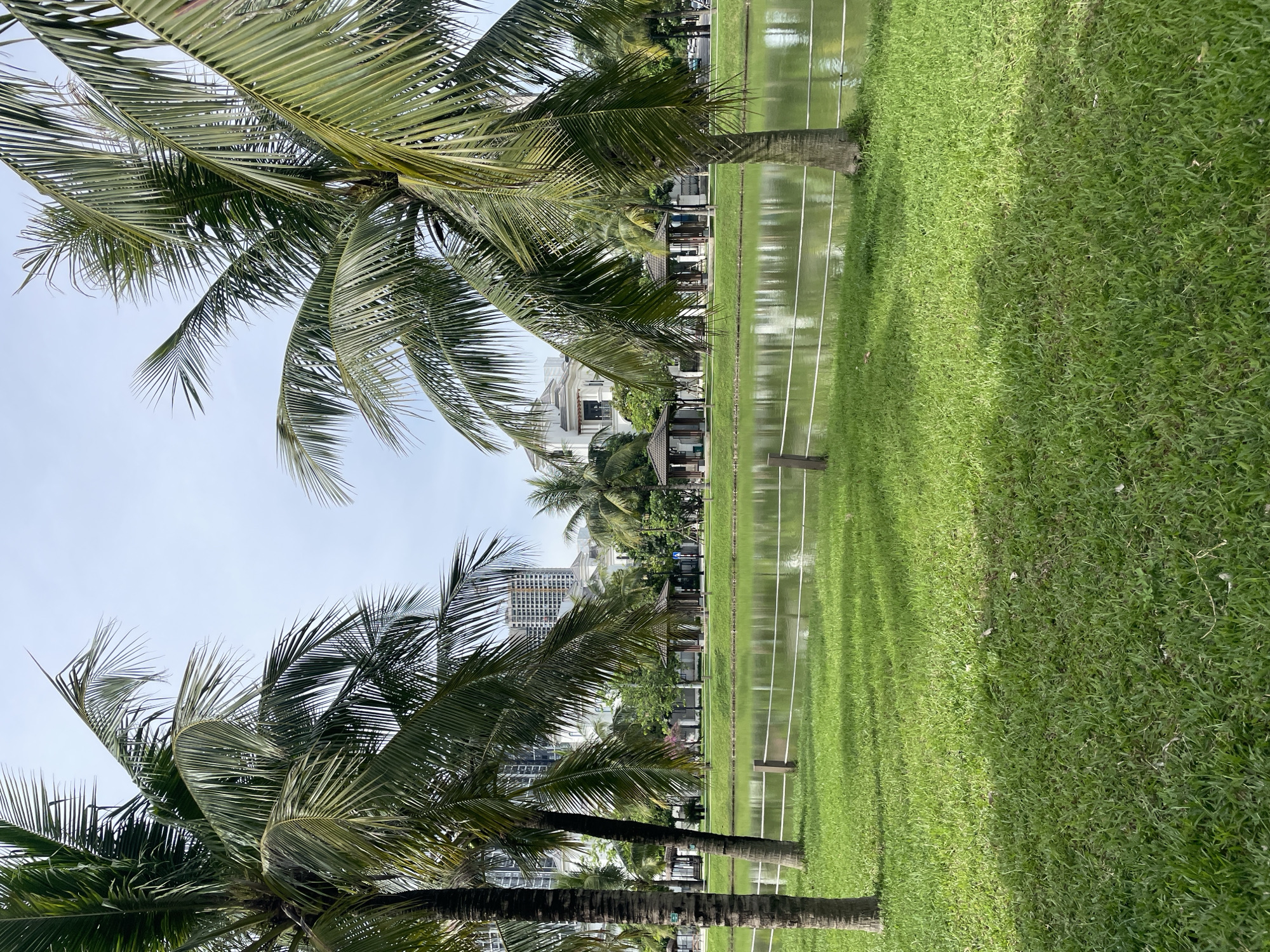 The image depicts a serene park scene with lush green grass in the foreground, leading down to a calm body of water. Two prominent palm trees frame the left and right sides of the mid-ground, with their fronds extending towards the sky. Beyond the water, several small, open-air gazebos with thatched roofs are visible, scattered across a manicured lawn. In the background, modern buildings, including high-rises, stand against a pale sky, suggesting an urban setting. The overall atmosphere is peaceful and verdant, hinting at a well-maintained public space within a city. While the location is identified as Hanoi, Vietnam, there are no people or specific landmarks that would confirm a precise spot. The scene captures a harmonious blend of nature and urban development.