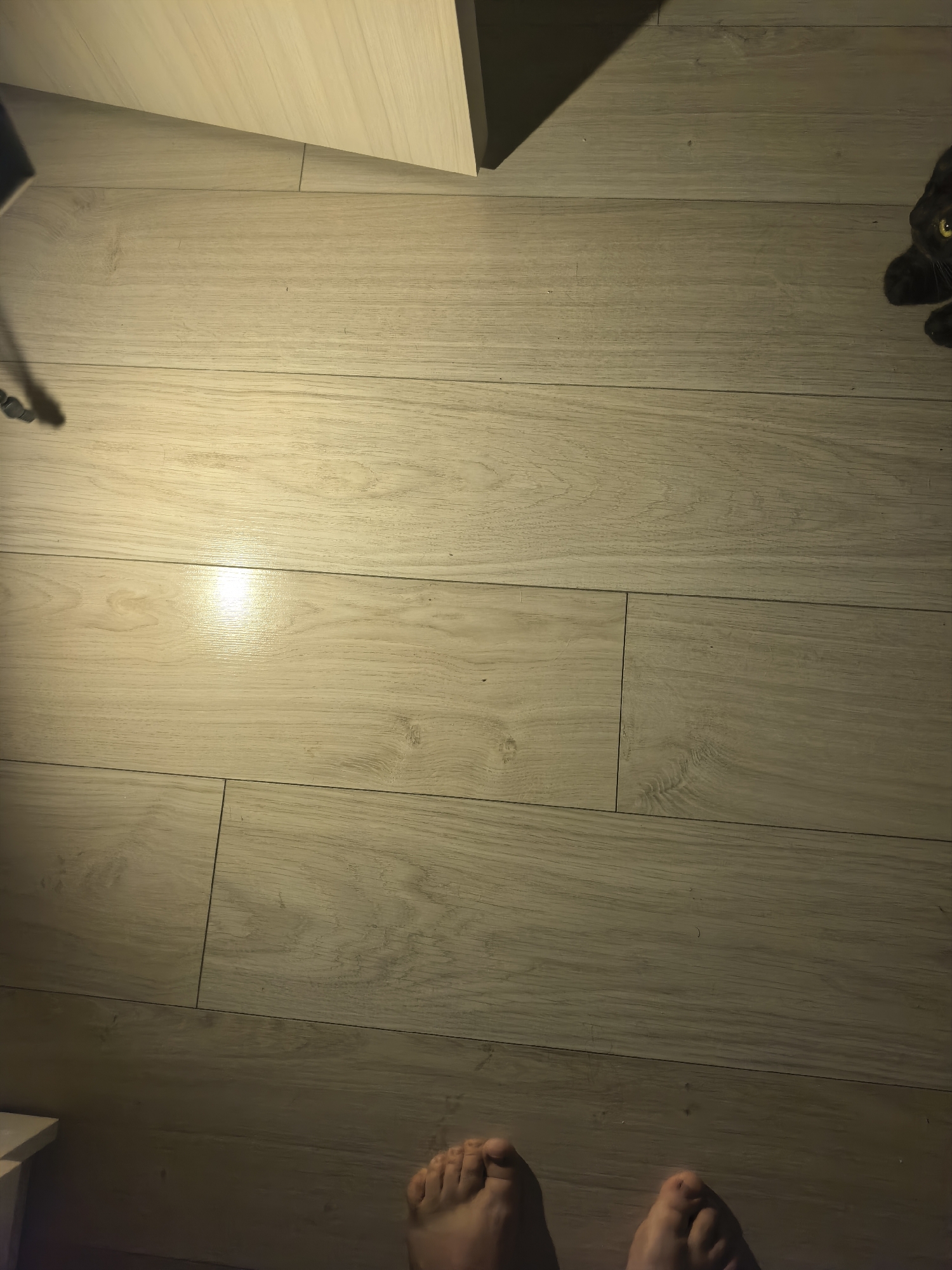 An eye-level, medium shot shows a dimly lit room with light-colored laminate flooring. In the upper right corner, a black cat with yellow eyes is partially visible, lying down. In the lower portion of the image, two human feet are visible, suggesting someone is standing. The flooring exhibits horizontal planks with a wood grain pattern. A bright, possibly artificial, light source illuminates the center-left of the floor, creating a glare. Shadows are cast from unseen objects, including a partial shadow of an object on the upper left, and a sharp triangular shadow extending from the upper left.