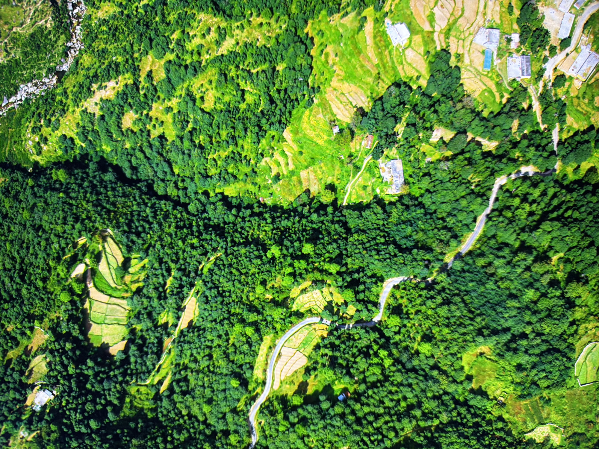 This is an aerial photograph of a mountainous, densely forested area. A winding road traverses the landscape, passing by small agricultural fields and scattered buildings. The vegetation is predominantly green, suggesting a temperate or tropical climate. There is no indication that this scene is located in the city of Kyiv, Ukraine.