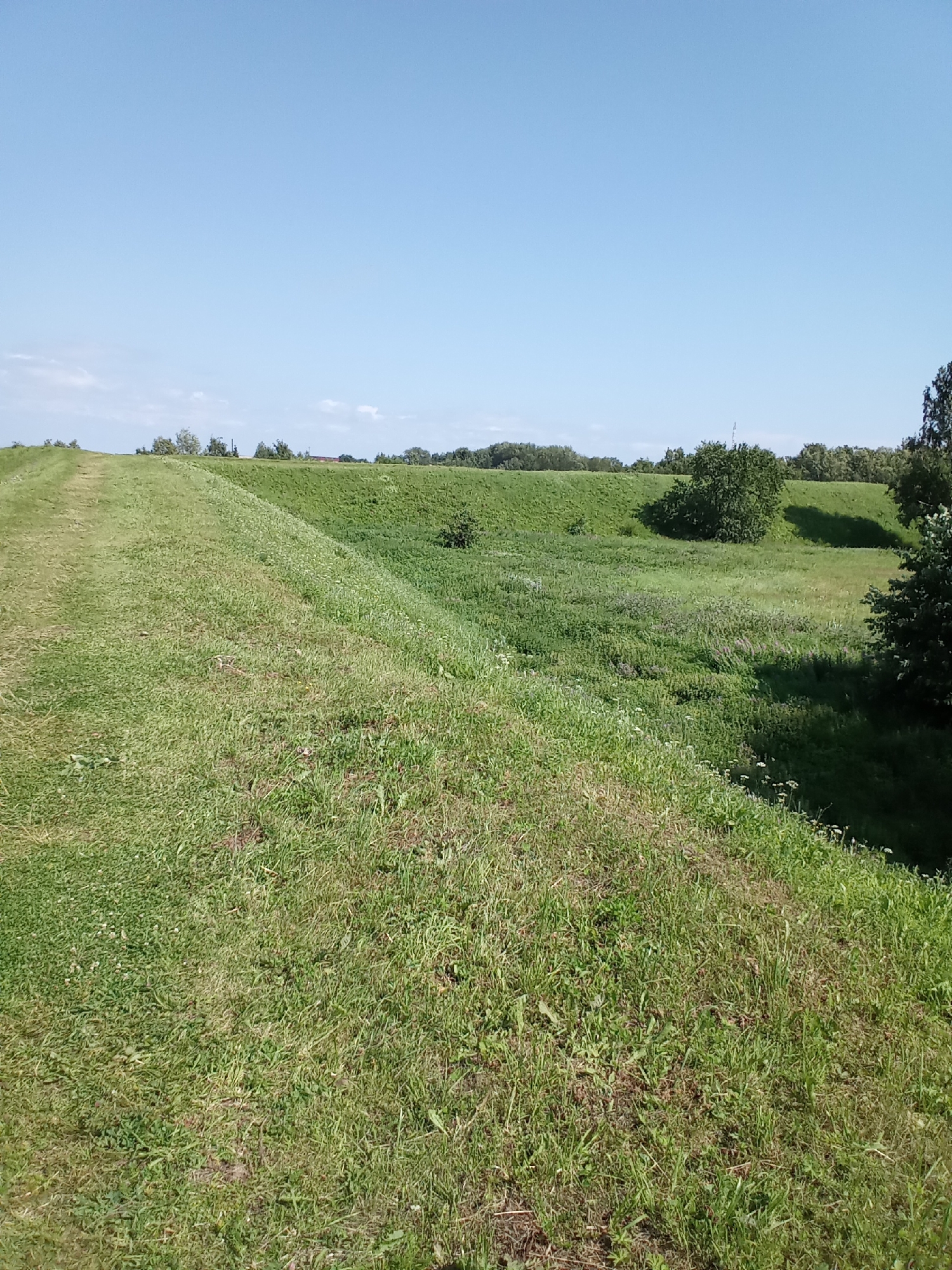 The image depicts a wide, grassy slope ascending to the left, under a clear blue sky. The slope is covered in lush green grass with some patches of brown, suggesting it is a well-maintained embankment. Further to the right and in the background, there is a lower, overgrown area with various plants and trees. A few scattered trees are visible in the distance, along with a hint of structures, possibly residential buildings, partially obscured by foliage. The scene conveys a natural, outdoor environment, likely a park or a rural area near Belozersk, Russia. There are no people or animals present in the image.
