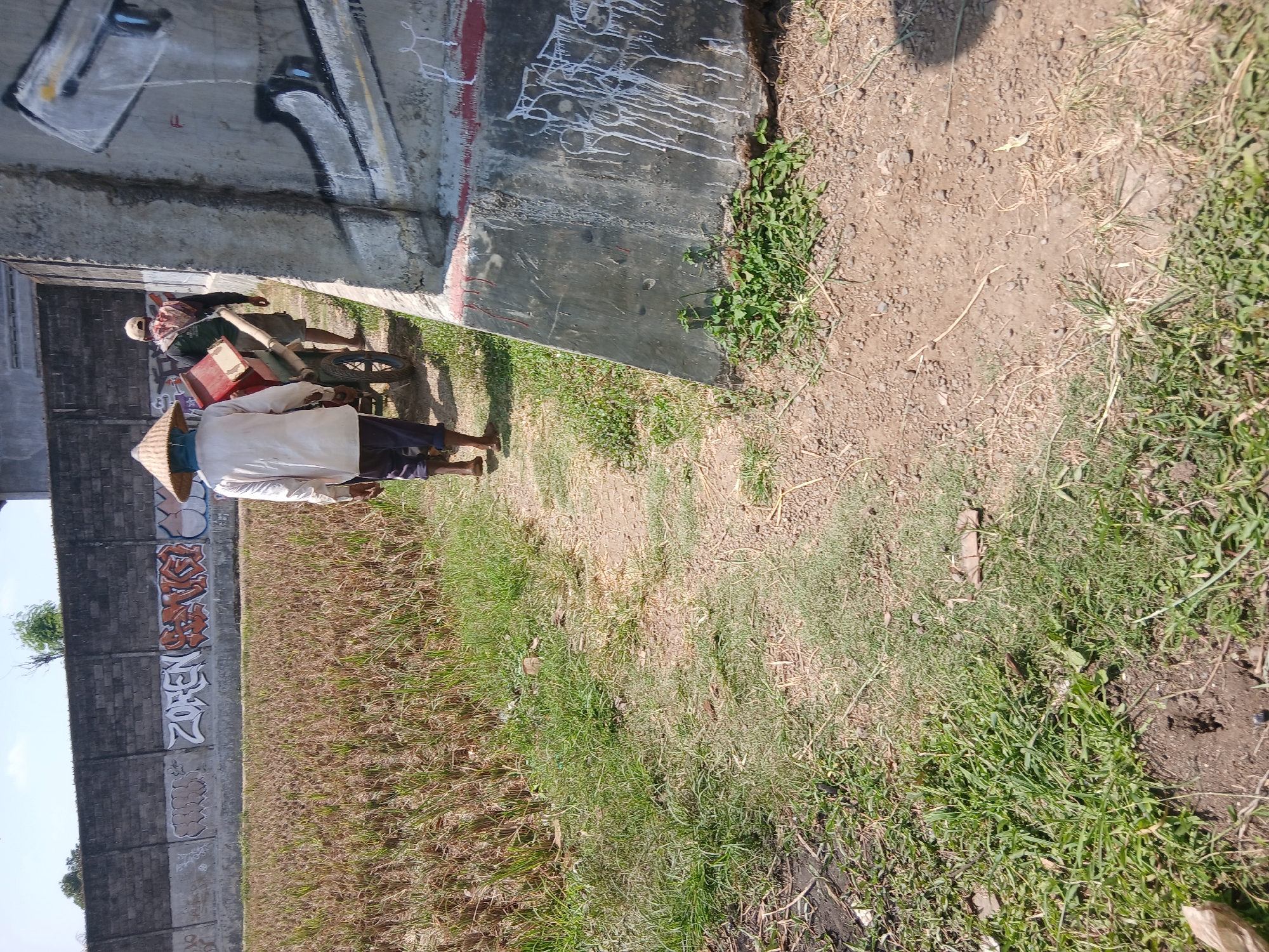 In Tenggarang, Indonesia, a man wearing a conical hat walks along a dirt path beside a harvested rice field. He is pushing a wheelbarrow laden with what appears to be red material. Another person, wearing a cap and a scarf, walks ahead of him. The path is bordered by dry, cut rice stalks on one side and a concrete structure with graffiti on the other. The concrete structure has graffiti that includes white drippy lines and black and grey shapes. The background shows a long, dark brick wall with more graffiti, including the word "ZOREN" in orange and white. The sky is bright and clear. The ground is a mixture of dirt and patches of green grass.