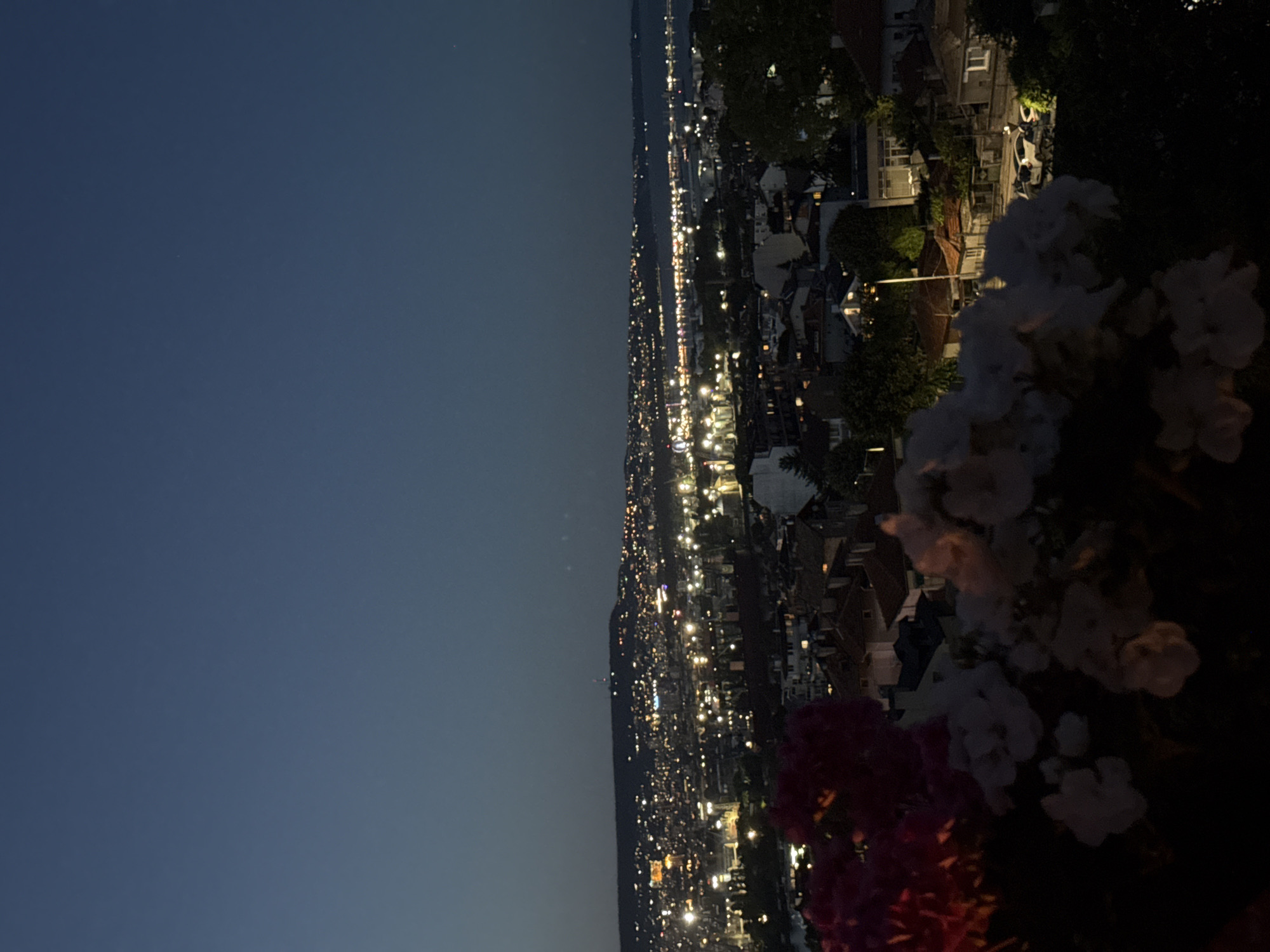 A nighttime aerial view of a city showcases a sprawling urban landscape illuminated by countless lights. In the foreground, out of focus, are clusters of flowers, some appearing pink and white, obscuring the lower portion of the image. Beyond the flowers, buildings with red-tiled roofs are visible, characteristic of a European city. Further into the distance, the city lights extend across hills and towards a body of water, possibly a bay or sea, on the horizon. The sky above is a deep, clear blue, transitioning to a lighter hue near the horizon, indicating either dusk or dawn. The overall scene is one of a peaceful urban panorama at night.