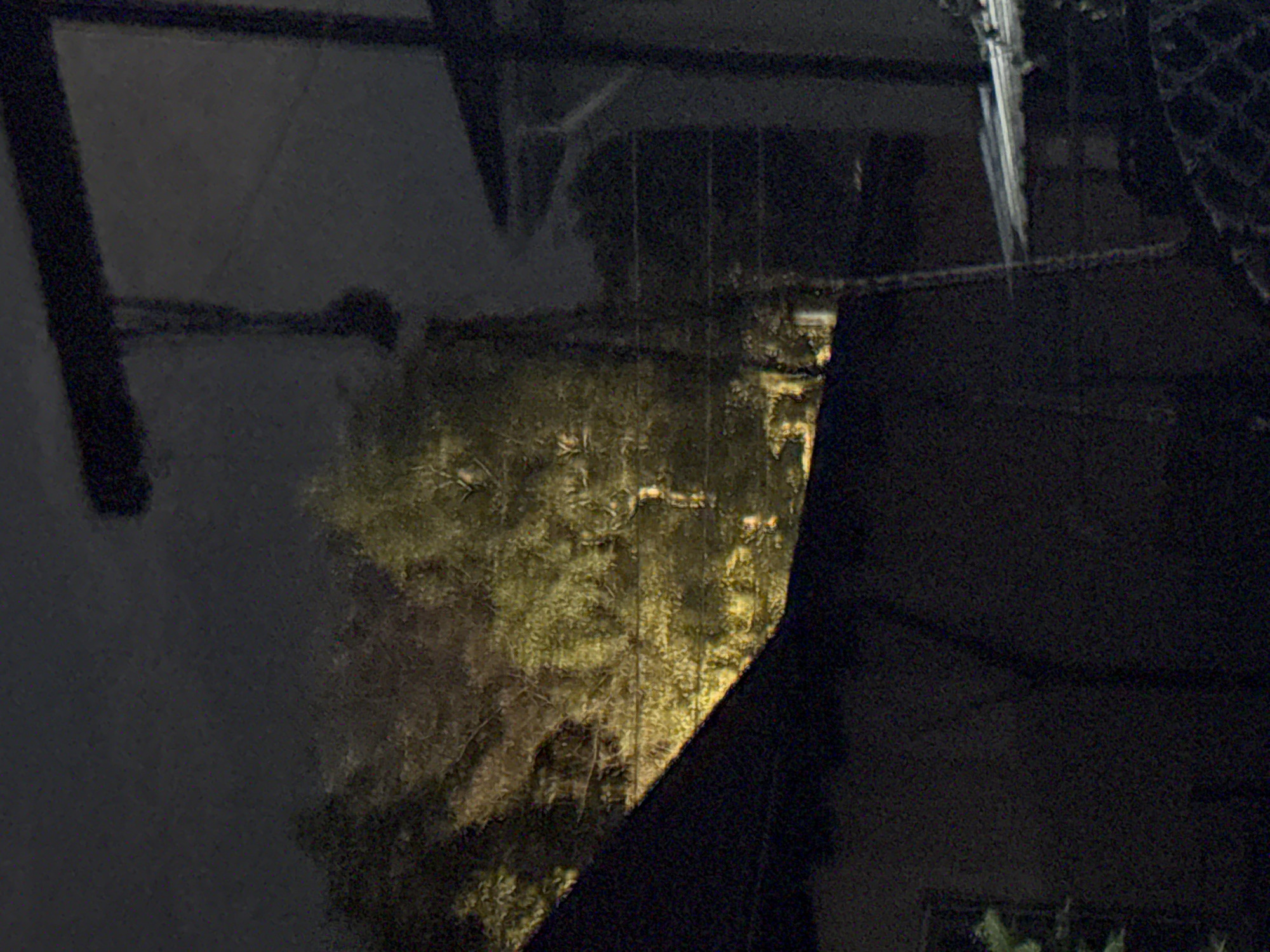 The image captures a nighttime scene in Vostok, Kyrgyzstan, focused on the exterior of a building and its surroundings. A dark, sloped roof, likely part of a dwelling, dominates the lower portion of the frame. Behind the roof, a cluster of trees is illuminated by a warm, yellow light, suggesting artificial lighting or moonlight filtering through foliage. The trees appear dense with branches and leaves, creating a textured and somewhat indistinct backdrop. To the right of the trees, a section of another building is visible, characterized by darker tones and architectural details that are difficult to discern in the low light. A vertical pole, possibly part of a utility structure or fence, stands prominently, with a shadow cast by it extending across the scene. The overall impression is one of a quiet, dimly lit residential or semi-rural area at night, with a focus on natural elements juxtaposed against man-made structures.