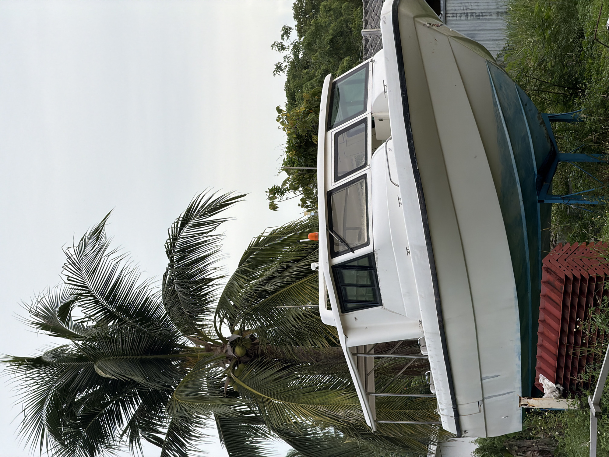 A white motorboat is parked on land, supported by a blue stand. The boat has a cabin with tinted windows. To the left of the boat, a large palm tree with coconuts is visible. The environment appears to be overgrown with grass and other vegetation, suggesting a slightly neglected or rural setting. In the background, there are some buildings with corrugated metal roofs and a dense cluster of green trees under a cloudy sky. The location is identified as Tambon Ko Pha Ngan, Thailand. There are no people visible in the image.