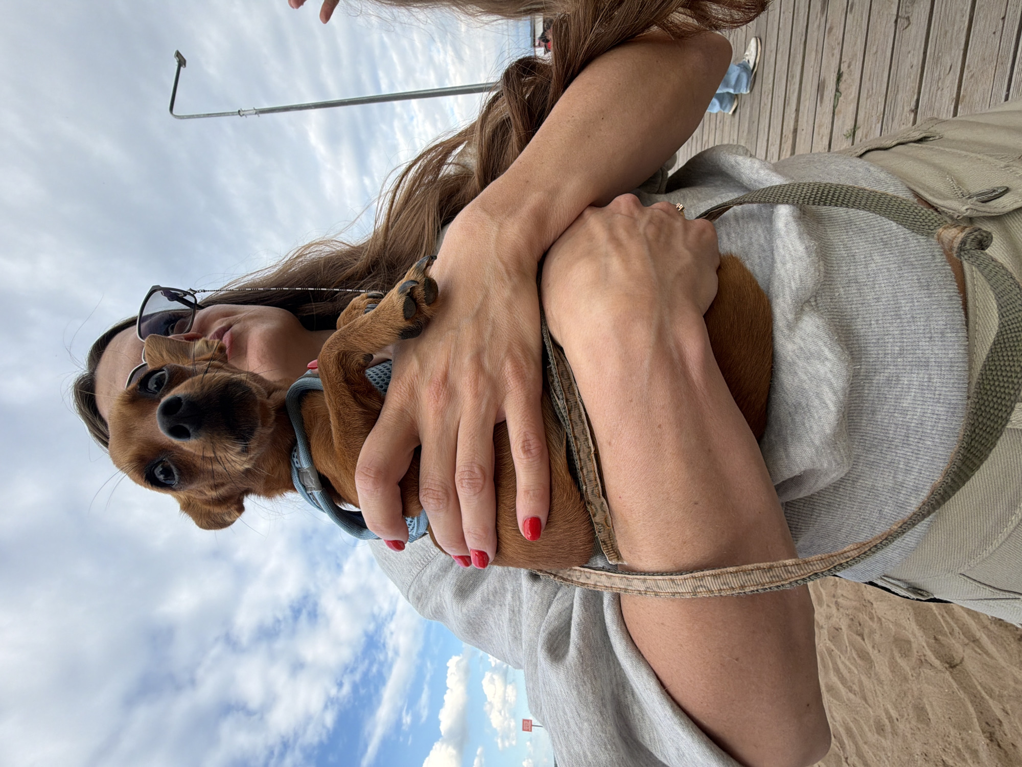 A person with long brown hair and sunglasses is holding a small brown dog. The dog is wearing a blue harness. The person is wearing a gray hooded sweatshirt and light-colored pants. They are standing on a wooden pier next to a sandy beach. In the background, there is a lamppost and a cloudy sky. The image appears to be taken in Chaikovsky, Russia, based on the presence of a sign with Russian text in the background.