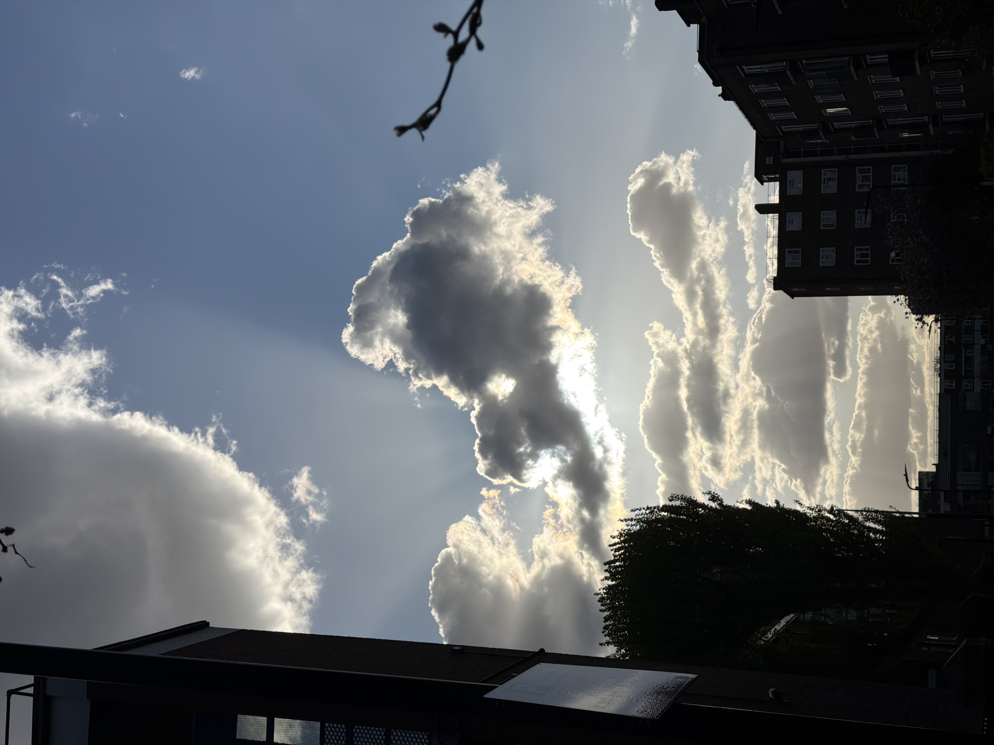 The image captures a sunlit sky with distinct cloud formations, observed from what appears to be a residential or urban environment. The most prominent clouds are cumulonimbus, positioned in the center and left of the frame. Sunlight filters through, creating crepuscular rays. In the lower portion of the frame, the dark silhouetted outline of a building and a tree. A taller building is partially visible on the right side of the image. A branch is in the upper left. The image has been rotated counter-clockwise. The location is likely London, United Kingdom due to the style of the buildings and the overall urban landscape visible. No people, subjects, objects, actions, or interactions are visible in the scene.