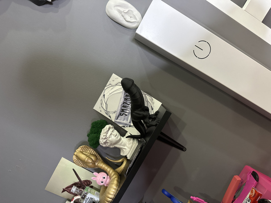 The image depicts an indoor scene in Saratov, Russia, showcasing a section of a grey wall adorned with various decorative and functional objects. A dark, possibly black, floating shelf is mounted horizontally on the wall.
On the left side of the shelf, a small clear glass bottle with a green label is visible. Adjacent to it, a golden, coiled cobra sculpture is present. A small pink bunny figurine stands next to the cobra. A white classical bust of a male head is positioned further right, with a tuft of green moss-like material placed on its top. Behind the bust, a dark, reddish-brown, organic-shaped object rests on a light-colored rectangular item. To the right of the bust, a rectangular white poster or print features a graphic of liquid splashes and the Russian word "SMAZKA" (lubricant) in dark lettering, with smaller, illegible text underneath. Dominating the right side of the shelf is a black, dinosaur-like figurine, notably featuring a distinct phallic-shaped head.
To the right of the shelf, mounted directly on the grey wall, is a white, sculptural representation of a vulva. Below this, a long, narrow white rectangular panel is affixed to the wall, displaying a black power symbol (a circle with a vertical line through its top segment) in its center. Below the shelf and to the left, a portion of a bright pink object, possibly a container or part of a furniture piece, is visible, with a red and white packaged item resting on it. The overall lighting is even, and the wall appears free of significant blemishes.
