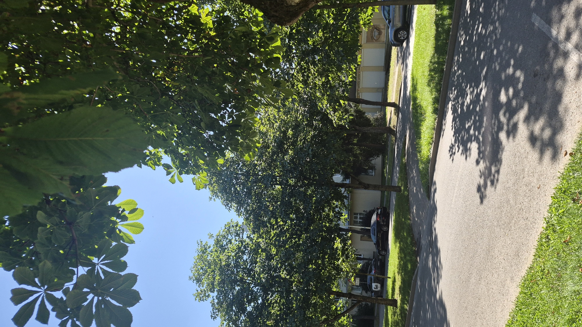 The image depicts a sun-drenched street scene in Daugavpils, Latvia, likely during daytime. The foreground features a paved road with a grassy verge on the left, and a sidewalk area lined with trees on the right. The trees, lush with green leaves, cast dappled shadows on the road and sidewalk, indicating a bright, sunny day. In the background, a building with a light-colored facade is visible, with several parked cars on the street in front of it. One car on the left is dark-colored with a white logo on its rear. Another dark-colored car is parked further down. On the right side of the street, a light-colored SUV is parked. The sky above is a clear, bright blue. The overall impression is a quiet, urban residential or commercial street with abundant greenery.