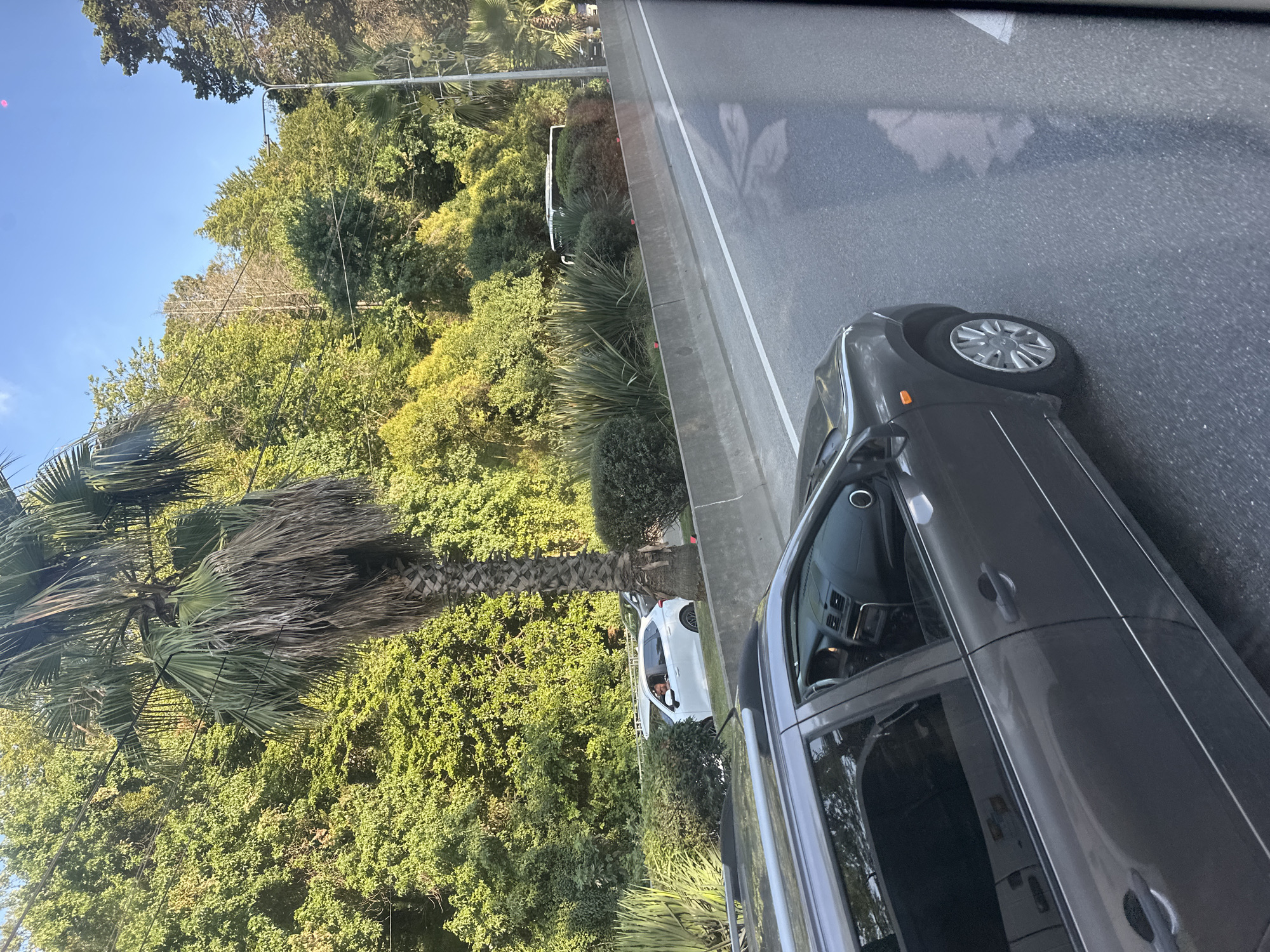 An elevated, slightly angled shot captures a sunny day in Sochi, Russia, with a view down a curved road bordered by a concrete barrier and lush green foliage. In the foreground, a dark grey sedan is on the road. Behind it, a white sedan is in the next lane, with a person visible behind the driver's side window. Further down the road, a white bus is partially visible. Tall palm trees and dense green trees form a backdrop, with a clear blue sky overhead. The scene suggests a typical day with moderate traffic on a scenic road.