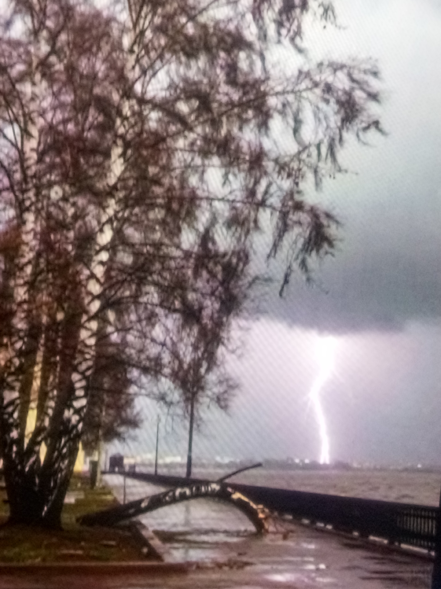 A lightning strike illuminates the sky over a body of water. In the foreground, a tree has fallen across a pathway, which appears wet and possibly flooded. Several other trees with bare branches stand to the left of the pathway. In the background, a dark silhouette of structures can be seen on the far side of the water, with the lightning strike originating from a dramatic, stormy sky. The scene suggests an outdoor location, likely a park or waterfront area, during a severe weather event.