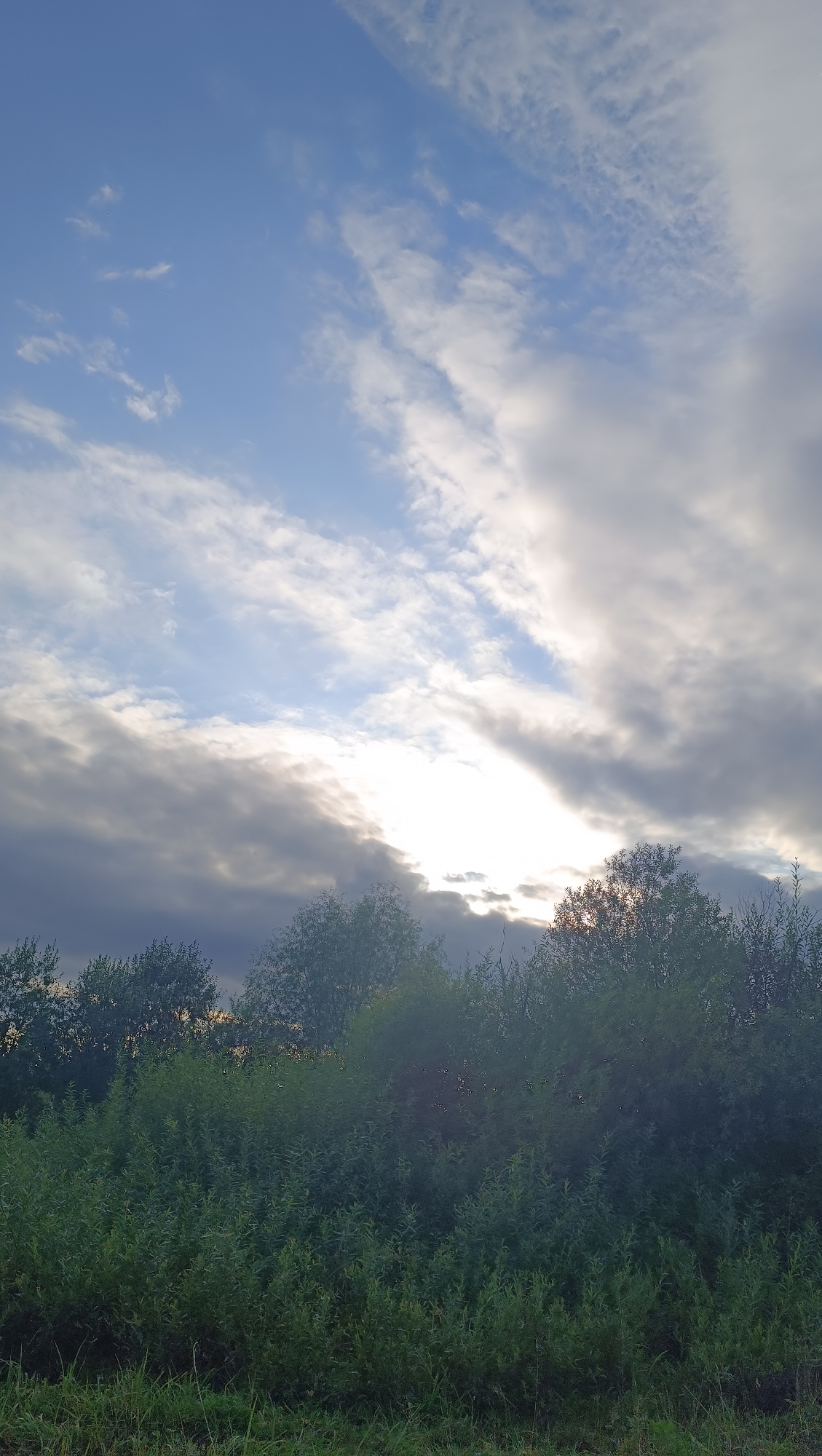 The image depicts a natural landscape with a dense foreground of green foliage and vegetation. Above the vegetation, silhouetted trees form a dark line against the sky. The sky is a dramatic mix of blue and grey clouds, with bright sunlight breaking through in the upper right portion of the frame. The overall impression is of a natural setting, likely outdoors, possibly in a park or rural area. The image does not contain any people or specific urban elements suggesting the city of Karsha, Russia.