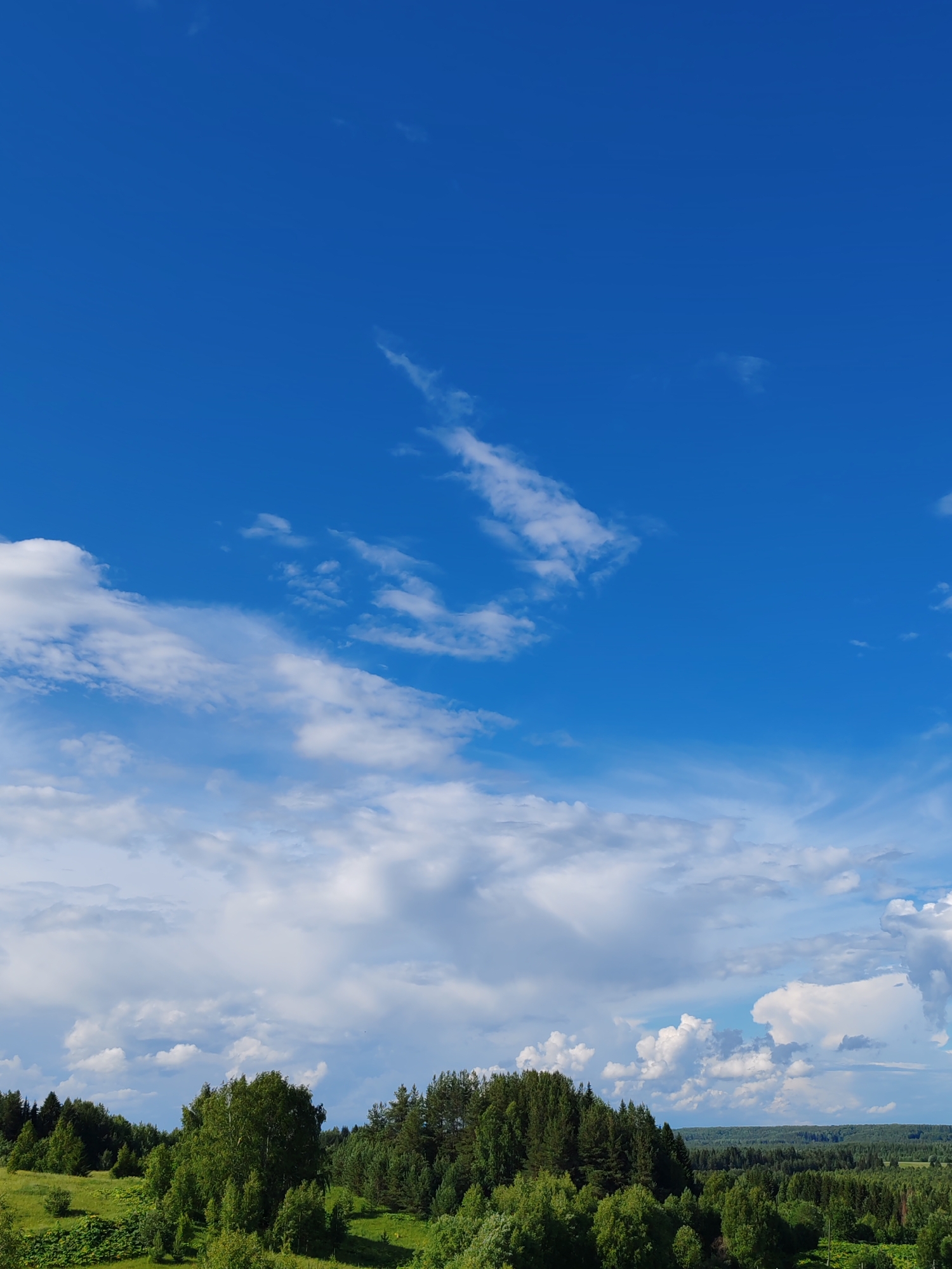 The image displays a wide shot of a lush green landscape under a bright blue sky with scattered white clouds. The foreground consists of rolling hills covered in dense green trees and foliage, interspersed with patches of lighter green grass. In the middle ground, a cluster of trees forms a darker green mass. The background features a further expanse of forest stretching towards the horizon. The sky is clear and expansive, with wispy clouds forming delicate patterns, suggesting fair weather. The scene evokes a sense of rural tranquility and natural beauty, likely depicting a rural or forested area in the vicinity of Чухлэм, Russia, given the typical topography and vegetation found in such regions. There are no people or specific man-made structures visible in this natural landscape.