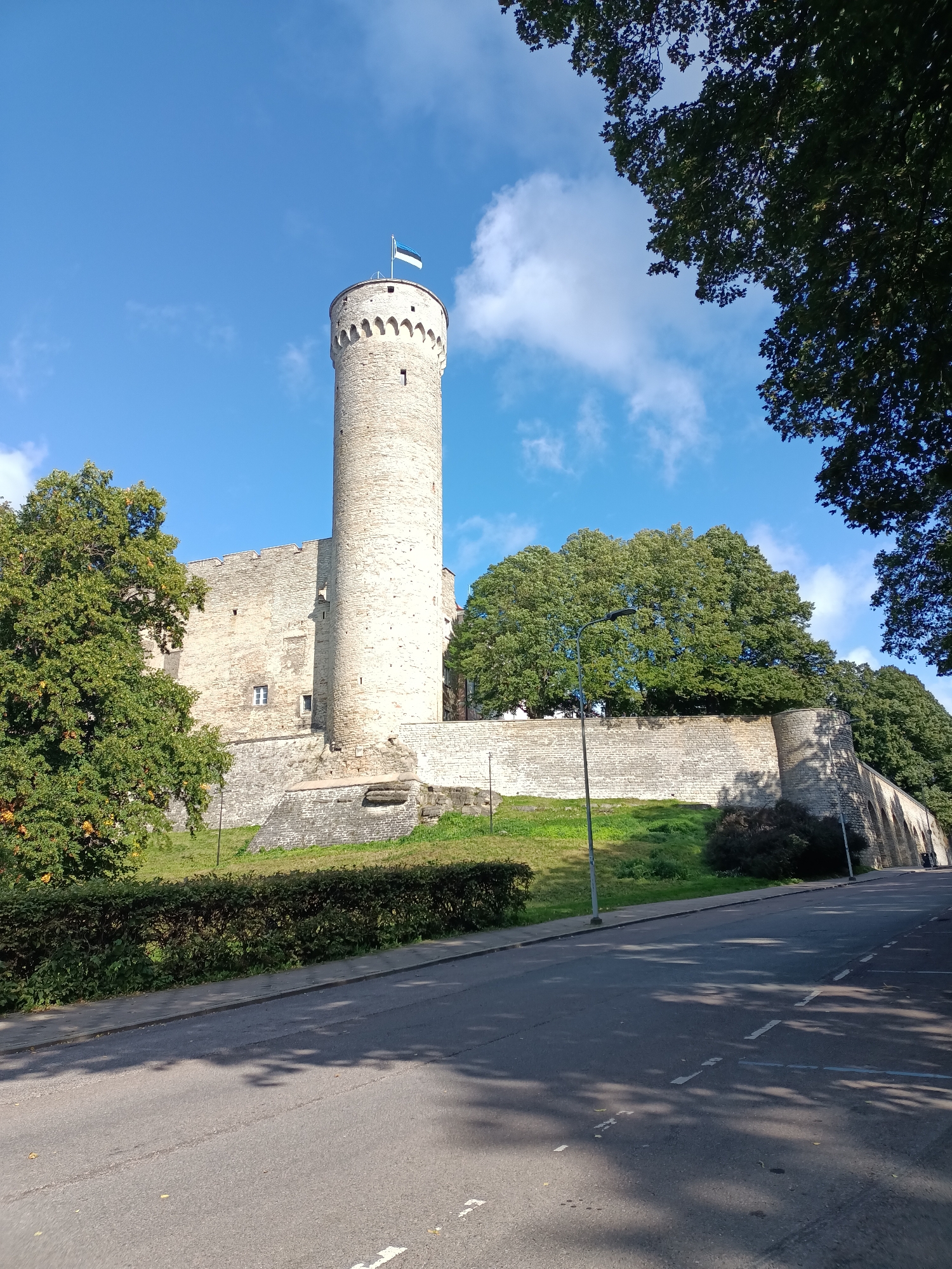 The image captures a view of Toompea Castle in Tallinn, Estonia, on a sunny day. The castle, constructed from light-colored stone, features a prominent round tower topped with battlements and a flag. The Estonian flag, a tricolor of blue, black, and white, flies from the top of the tower. The castle walls extend outwards, some parts appearing more ancient and weathered than others. Lush green trees with dense foliage flank the castle on the right and left sides. In the foreground, a paved road curves to the right, with a narrow sidewalk and a neatly trimmed hedge running along its edge. The sky is a clear blue with scattered white clouds, and dappled shadows from the trees fall across the road, indicating the time is likely late morning or early afternoon. The scene is serene and depicts a historical landmark within an urban setting.