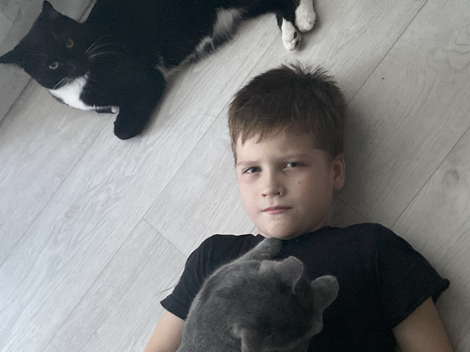 A fair-skinned young boy with short brown hair, wearing a black t-shirt, lies on a light-colored wood-patterned floor. He is looking directly at the camera. A grey cat is resting on his chest. In the upper left corner of the frame, a black and white cat is partially visible. The location is likely an interior residential space in the city of Chaikovsky, Russia.