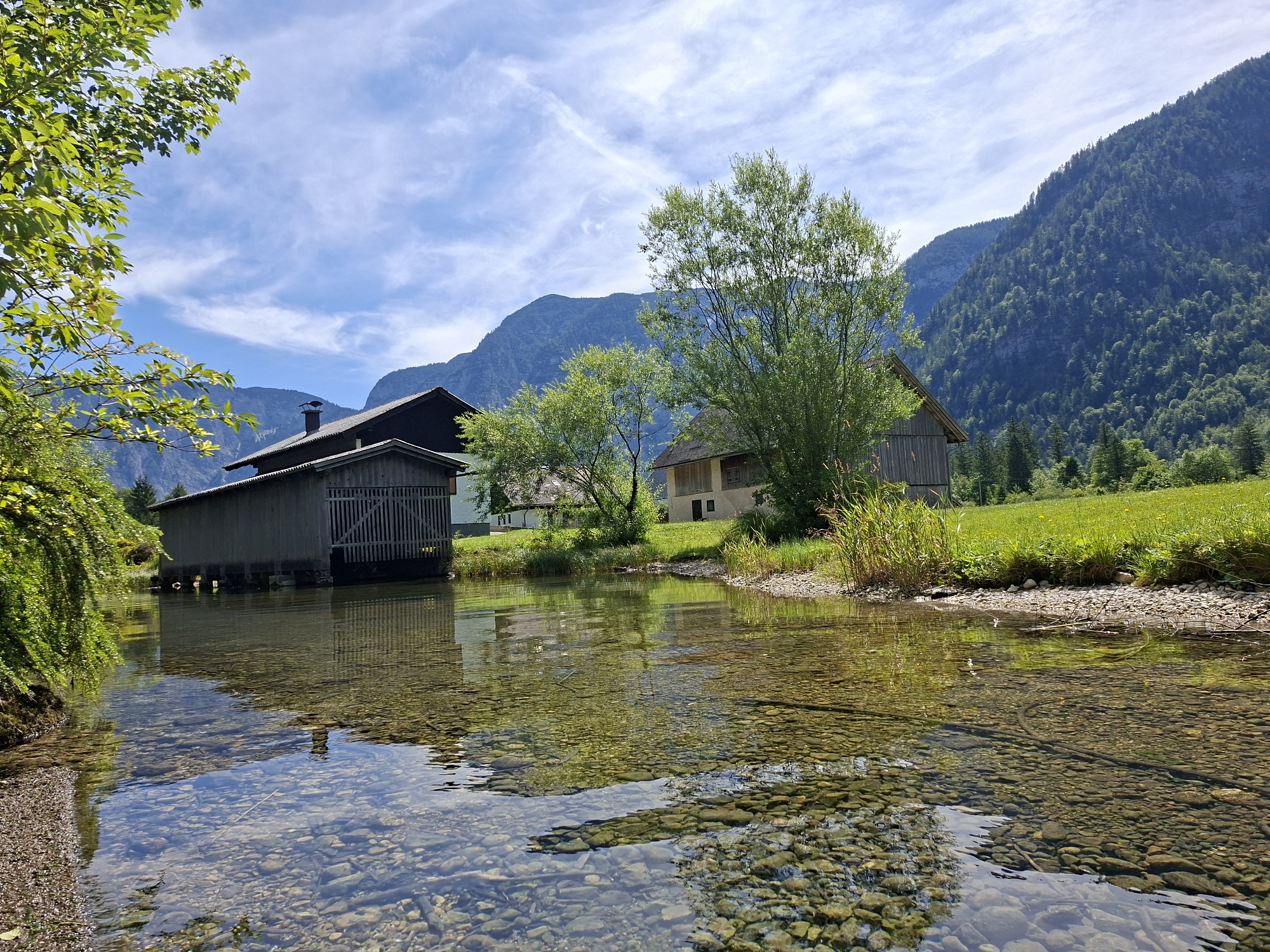 This image depicts a serene waterscape in Obertraun, Austria, characterized by a clear, shallow stream flowing in the foreground. The stream bed is visible, composed of numerous rounded pebbles and rocks. Reflections of the surrounding environment, including trees and structures, are cast upon the water's surface.
On the left bank of the stream, a large, dark wooden building with a pitched roof and vertical plank siding stands partially submerged on stilts. Adjacent to this building, a lush green tree with broad leaves extends into the upper left corner of the frame.
Across the stream, on the right bank, a gently sloping green meadow is visible, dotted with patches of yellow flowers and bordered by tall green grasses and reeds. Further back in the meadow, a light-colored building with a traditional wooden roof is nestled amongst trees. Behind the meadow and buildings, a dense, dark green forest covers the steep slopes of a mountain, which dominates the background. The sky above is a vibrant blue, marked by wispy white clouds. The overall scene conveys a tranquil, natural setting.