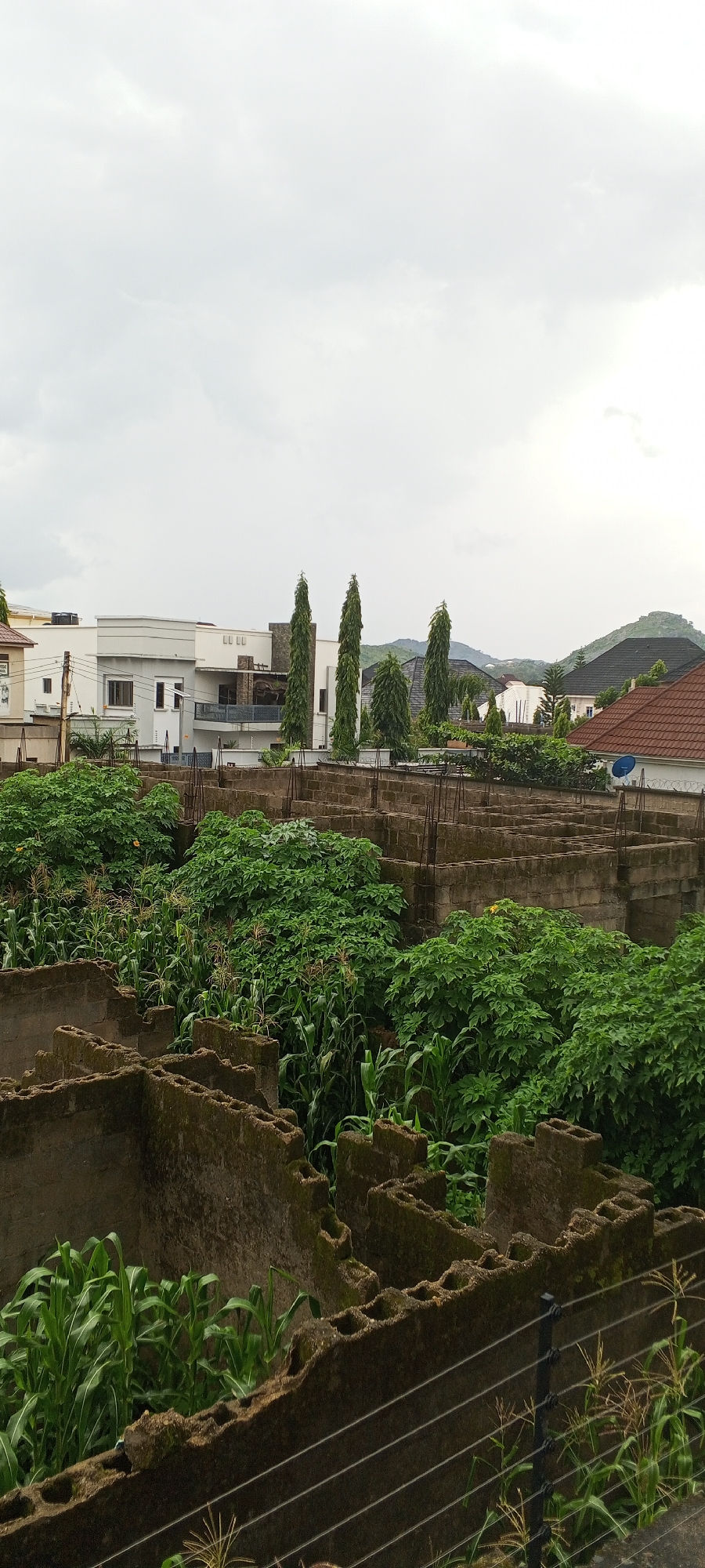 An outdoor, eye-level, full shot captures an overcast sky above a residential area in Jos, Nigeria, characterized by unfinished construction and lush vegetation. In the foreground, the skeletal remains of concrete block structures, likely foundations for buildings, are visible. These structures are partially overgrown with vibrant green foliage and corn stalks, suggesting a period of neglect or a deliberate landscaping choice.
Beyond the construction, a row of modern, multi-story houses with clean white facades and dark rooflines is present. These houses are separated by tall, slender trees that punctuate the landscape. Further in the background, rolling hills form a natural backdrop, with more residential buildings nestled amongst them. The overall impression is one of a developing urban environment where nature is reclaiming or coexisting with human construction. The lighting suggests a cloudy day, possibly after rain, given the green saturation of the plants.