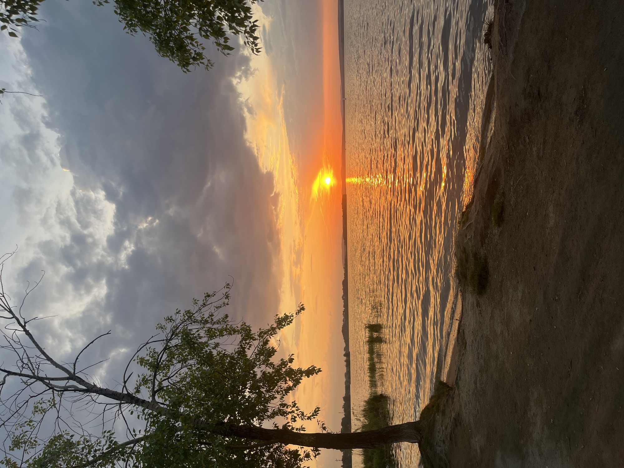 The image depicts a sunset over a body of water, possibly a lake or large pond, with an adjacent shoreline. A tree with green leaves is visible in the lower left foreground. The sky contains a mix of orange and yellow hues near the setting sun, transitioning to darker, grey storm clouds on the left side. The sun's reflection creates a bright, golden path on the water's surface. The shoreline is primarily dirt and sand, with some vegetation. The image orientation is vertical, though originally taken horizontally. The city of Yekaterinburg, Russia is not discernible, and its precise location can not be verified with certainty based solely on these details.