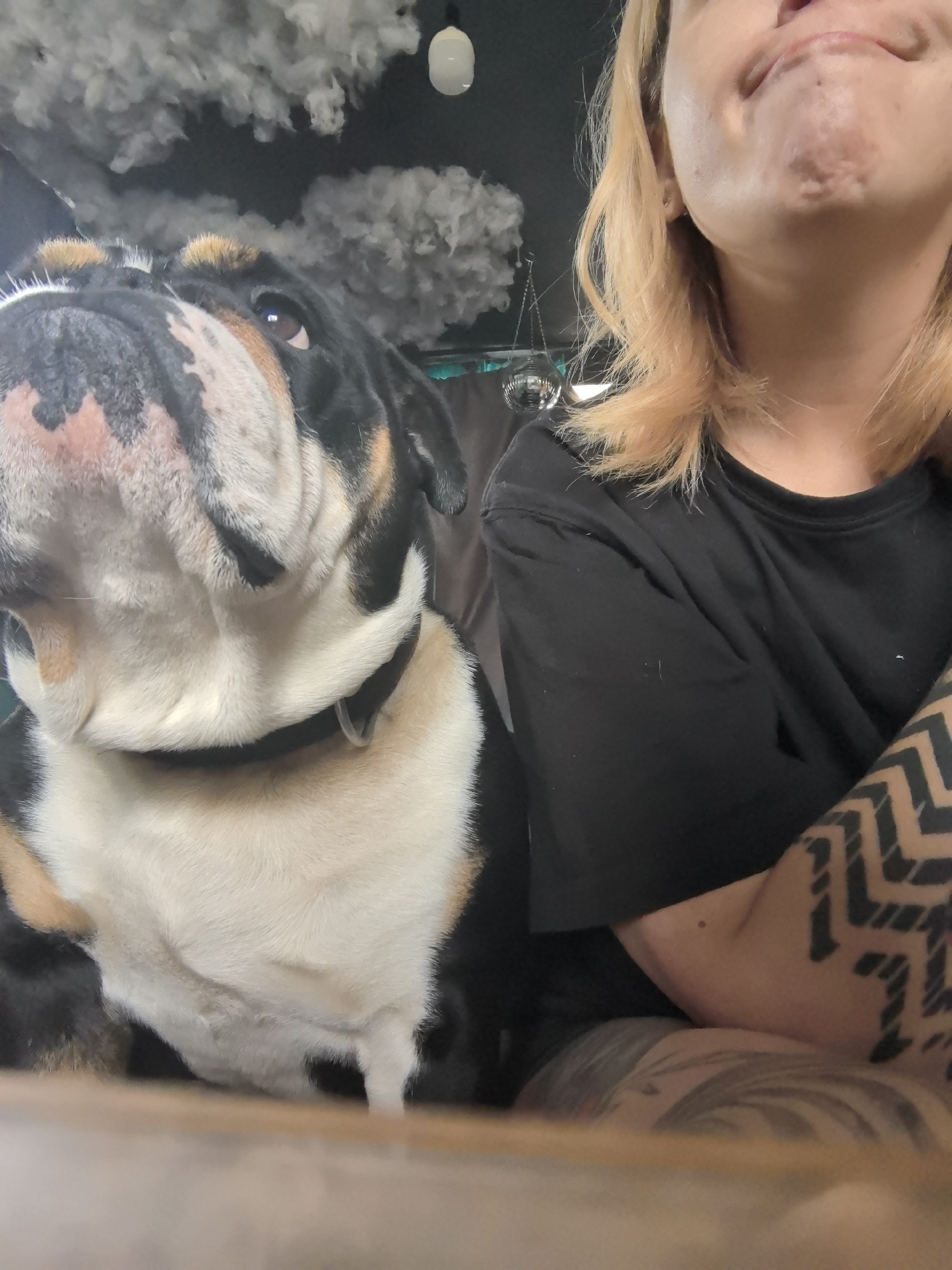 A close-up shot features a fair-skinned person with short, blonde hair, wearing a black t-shirt. The person's lips and part of their neck are visible, along with an arm featuring a tattoo of geometric designs. Beside the person sits an English Bulldog with a black, white, and brown coat. The bulldog wears a black collar. In the background, a ceiling fixture resembling fluffy clouds and a light bulb is visible. The location is unspecified; there is no information suggesting it is in Noviy, Russia.