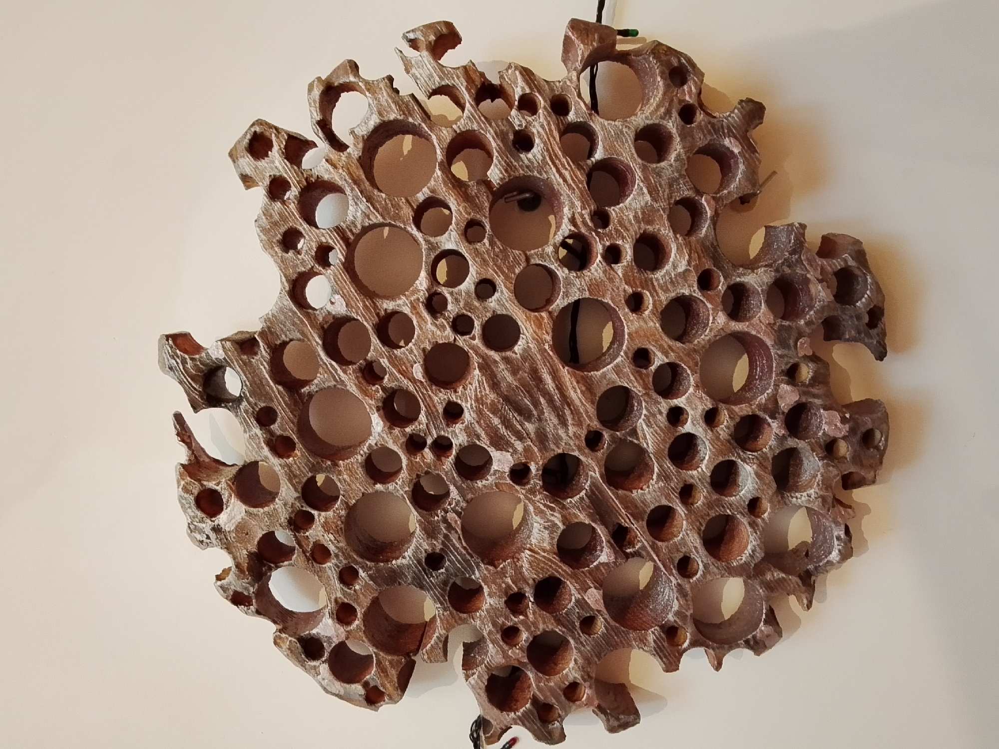 A textured, reddish-brown, irregularly shaped object with numerous circular holes is mounted on a light-colored wall. The object appears to be made of wood or a wood-like material. The holes vary in size and are distributed throughout the object. There is a dark-colored cord or wire visible at the top and bottom of the object, suggesting it is hanging. No people are visible.