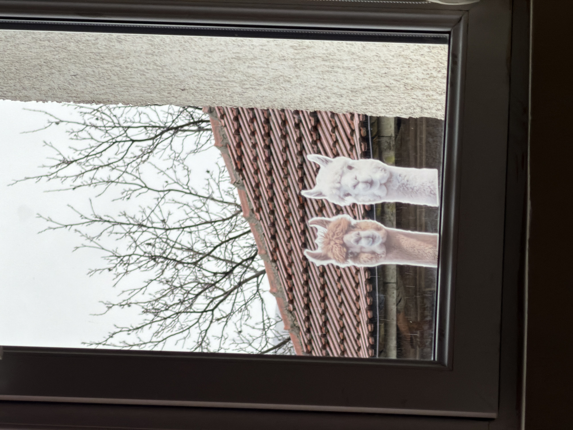 The image shows a view through a window, with a close-up perspective focusing on the external scene. The window frame is light gray or white. The outside view features bare tree branches silhouetted against a cloudy sky. In the middle ground, there is a steeply pitched roof covered in brown tiles. Two stickers or decals of alpacas are affixed to the glass. The upper alpaca is white, while the lower one is light brown. The location is Panagyurishte, Bulgaria.