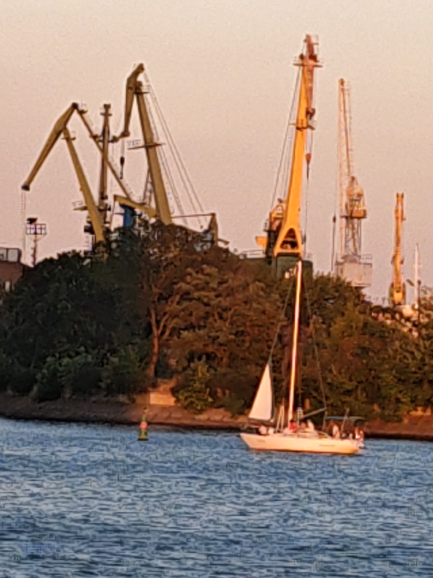 The image captures a tranquil scene on the Don River in Rostov-on-Don, Russia, during the golden hour. Dominating the background are several industrial cranes, their yellow structures stark against the warm, dusky sky, suggesting a port or industrial area. Dense foliage, likely trees, forms a verdant bank along the river, with a hint of man-made structures peeking through. In the foreground, a white sailboat with its sail unfurled glides across the rippling blue water, carrying several passengers who appear to be enjoying a leisurely outing. A navigational buoy, painted with red and green bands, floats serenely in the water, marking the waterway. The overall impression is one of peaceful coexistence between industry and nature, with human activity in the form of sailing adding a dynamic element to the serene landscape.