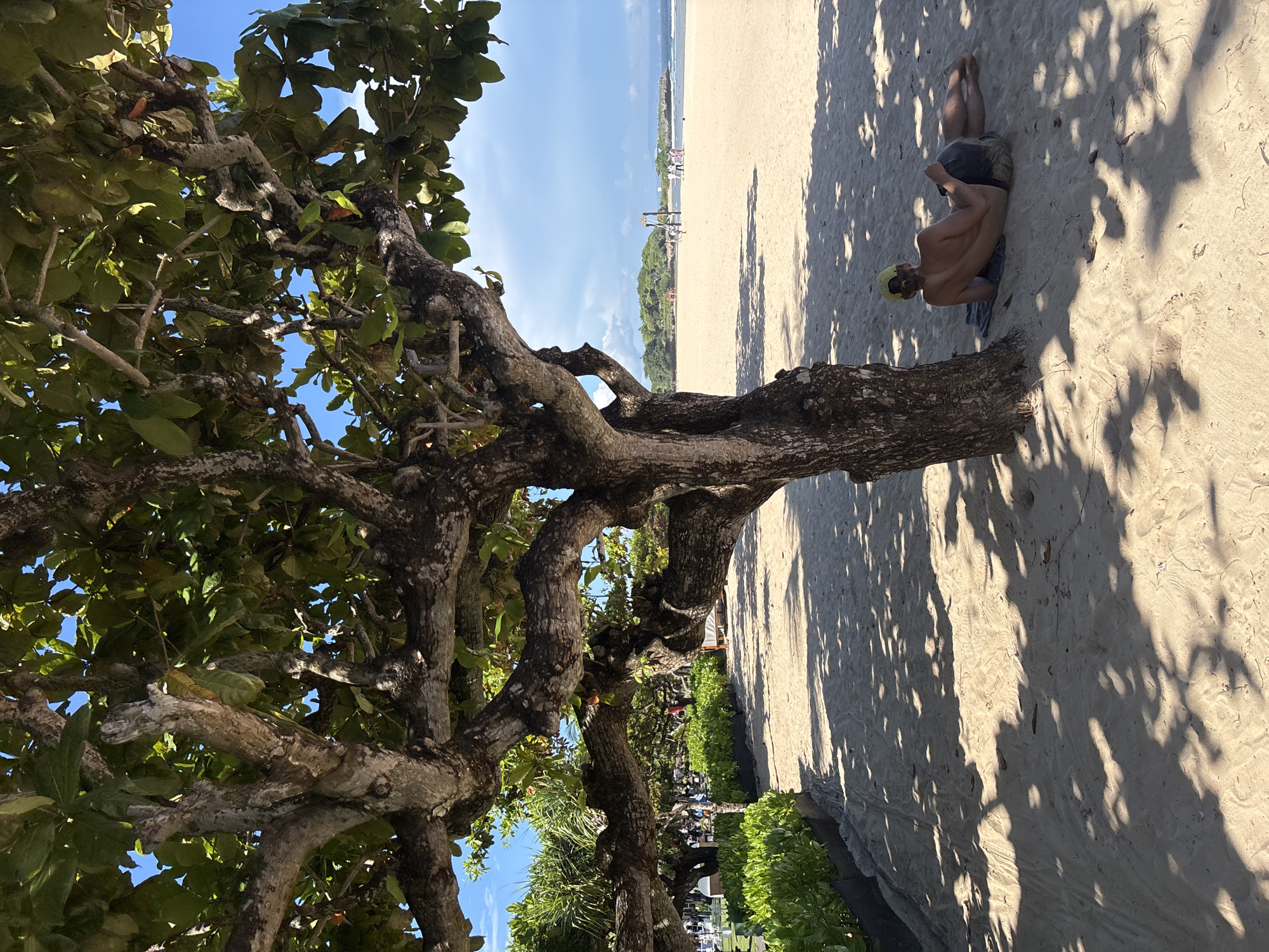 A partially shaded beach scene is set in Nusa Dua, Indonesia. A gnarled tree with green foliage dominates the left side of the frame. Its branches extend over the sand. A man is lying on the beach in the shade cast by the tree. He wears dark shorts and a yellow cap. The bright sand stretches into the distance, where people are gathered near the water's edge. The sky is a clear blue with few clouds. There is green vegetation in the middle ground.