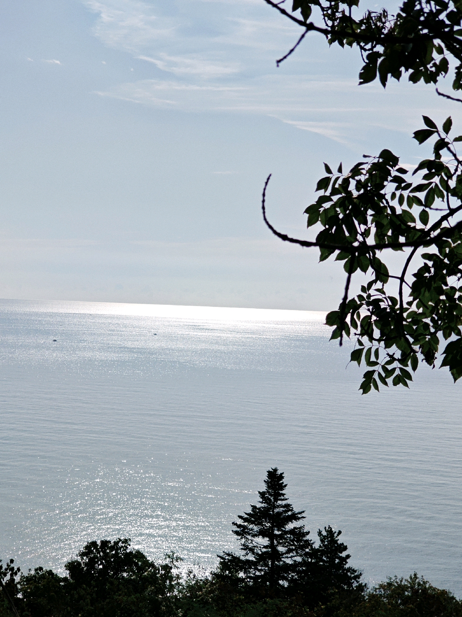 The image depicts a serene natural landscape with a vast body of water meeting the sky. In the foreground, silhouetted trees with dark green leaves frame the scene from the top and bottom. The water, likely a lake or ocean, exhibits a shimmering surface, reflecting the bright sunlight that creates a strong glint across the horizon. A thin line of trees, appearing as dark masses against the bright water, can be seen along the distant shore. The sky is a pale blue with wispy white clouds, creating a soft, ethereal backdrop. There are no people or man-made structures clearly visible, emphasizing the natural beauty of the environment. The overall impression is one of tranquility and vastness.