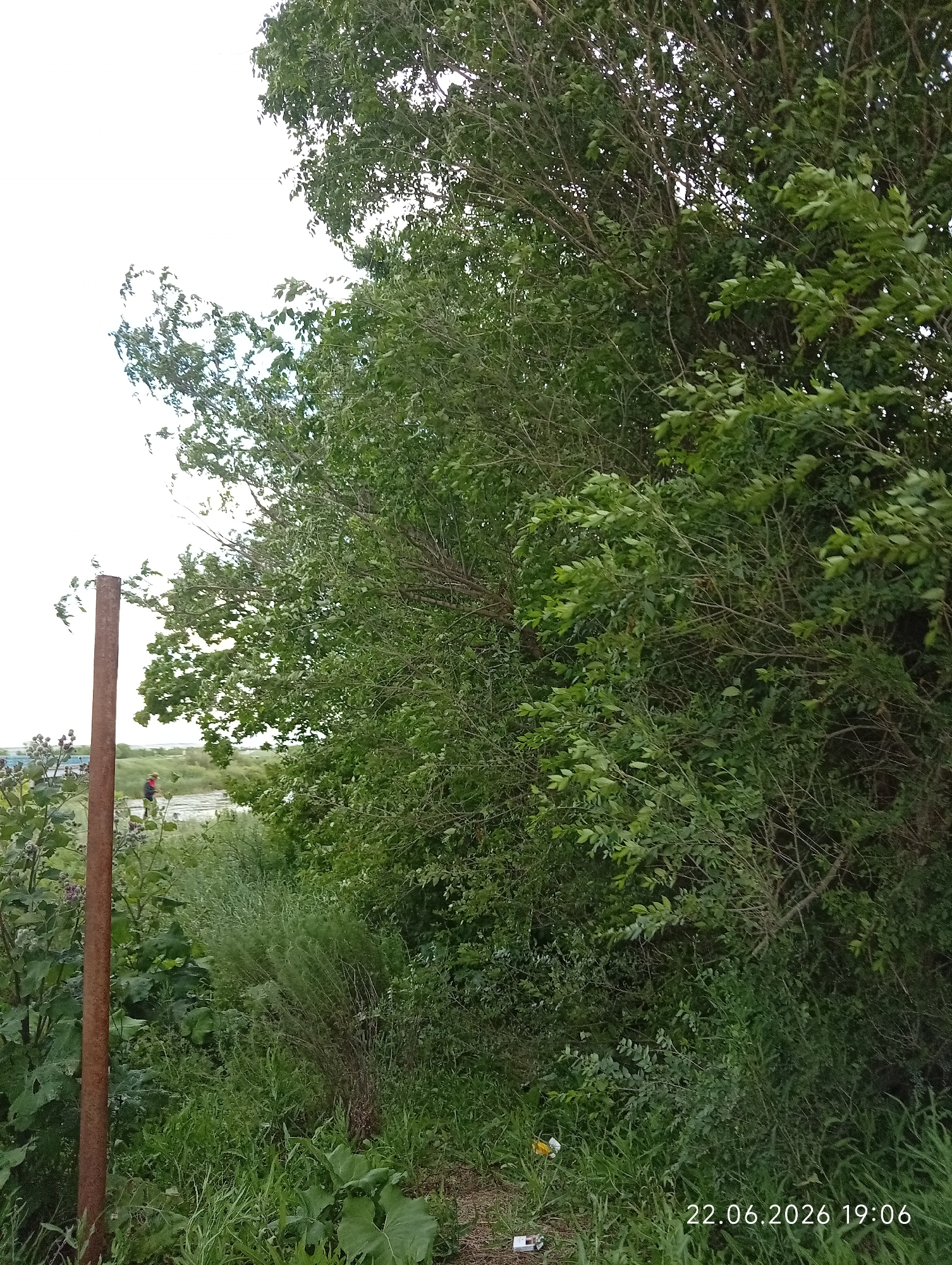 The image shows an outdoor scene with lush green foliage and vegetation. In the foreground, a rusty metal pole stands vertically on the left side. To the right, dense trees with green leaves dominate the frame. In the background, a body of water is visible, with a person in the distance wearing a red top and dark shorts. The overall environment appears to be a natural setting, possibly a park or a riverside area. The date and time stamp "22.06.2026 19:06" is visible in the bottom right corner. The location is identified as Sarytogay, Kazakhstan.